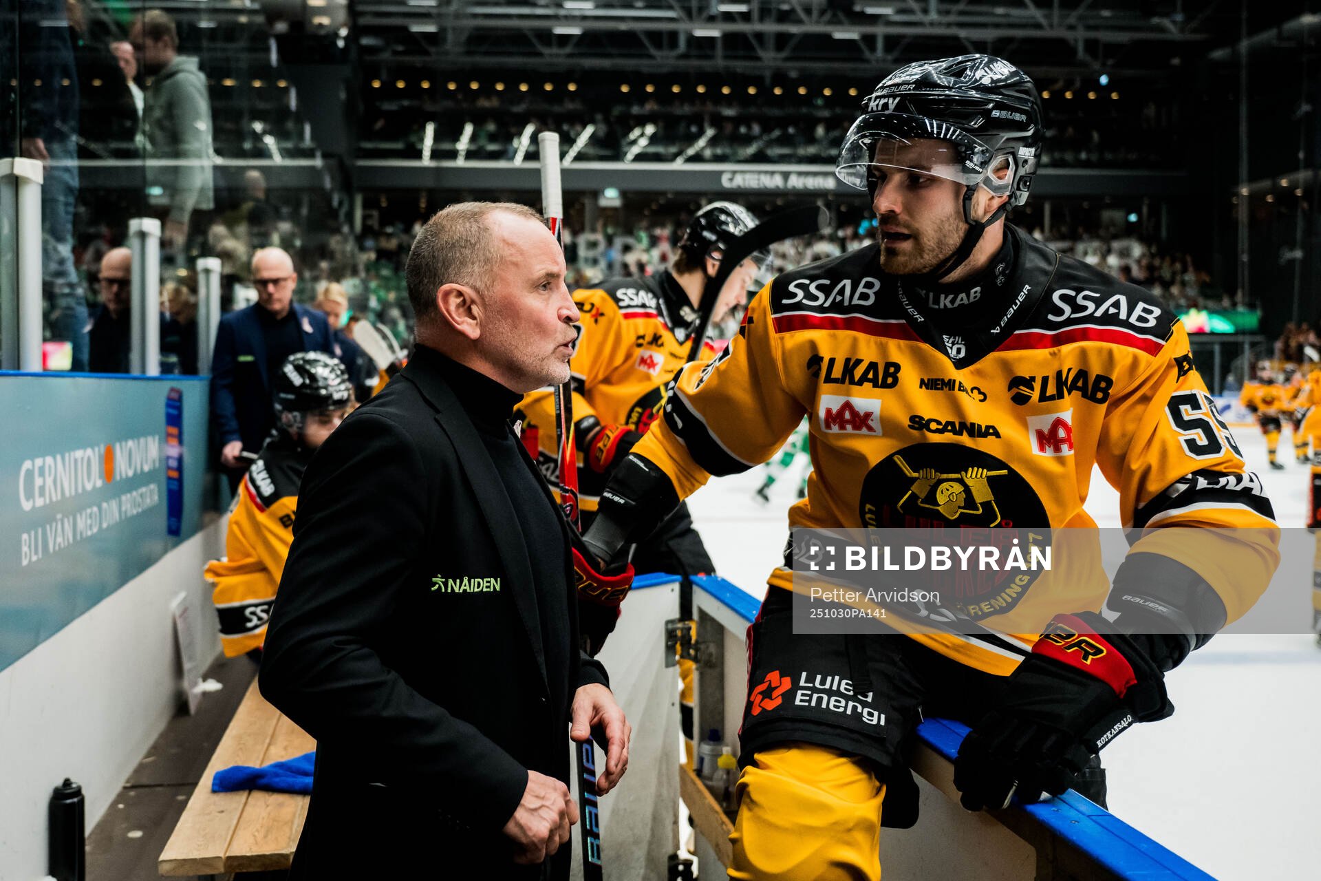 Luleås tränare Thomas Berglund och Kasper Kotkansalo