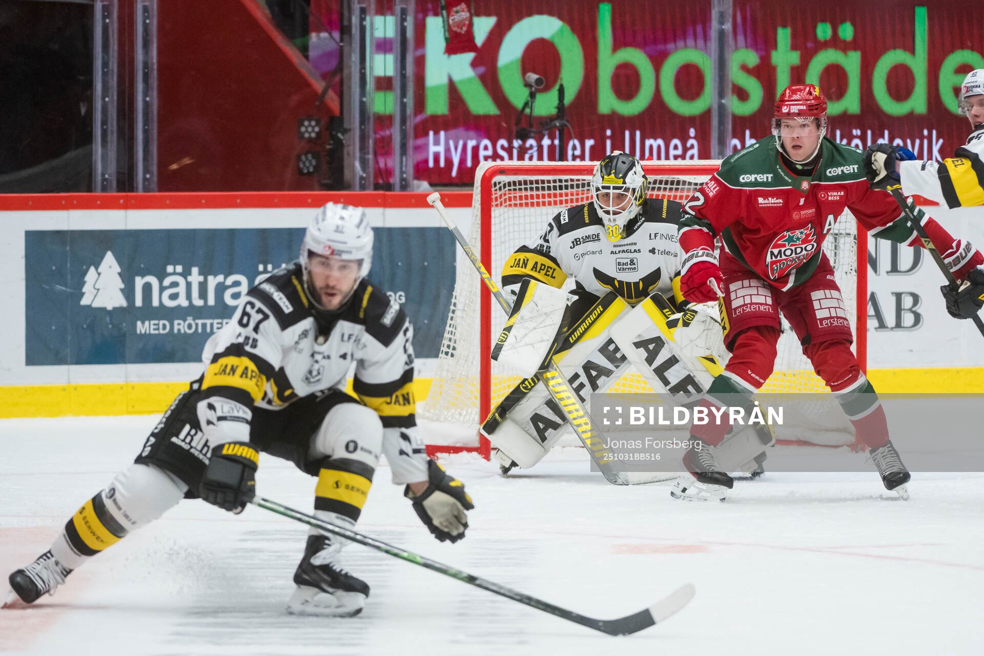Västerås målvakt Benedikt Oschgan