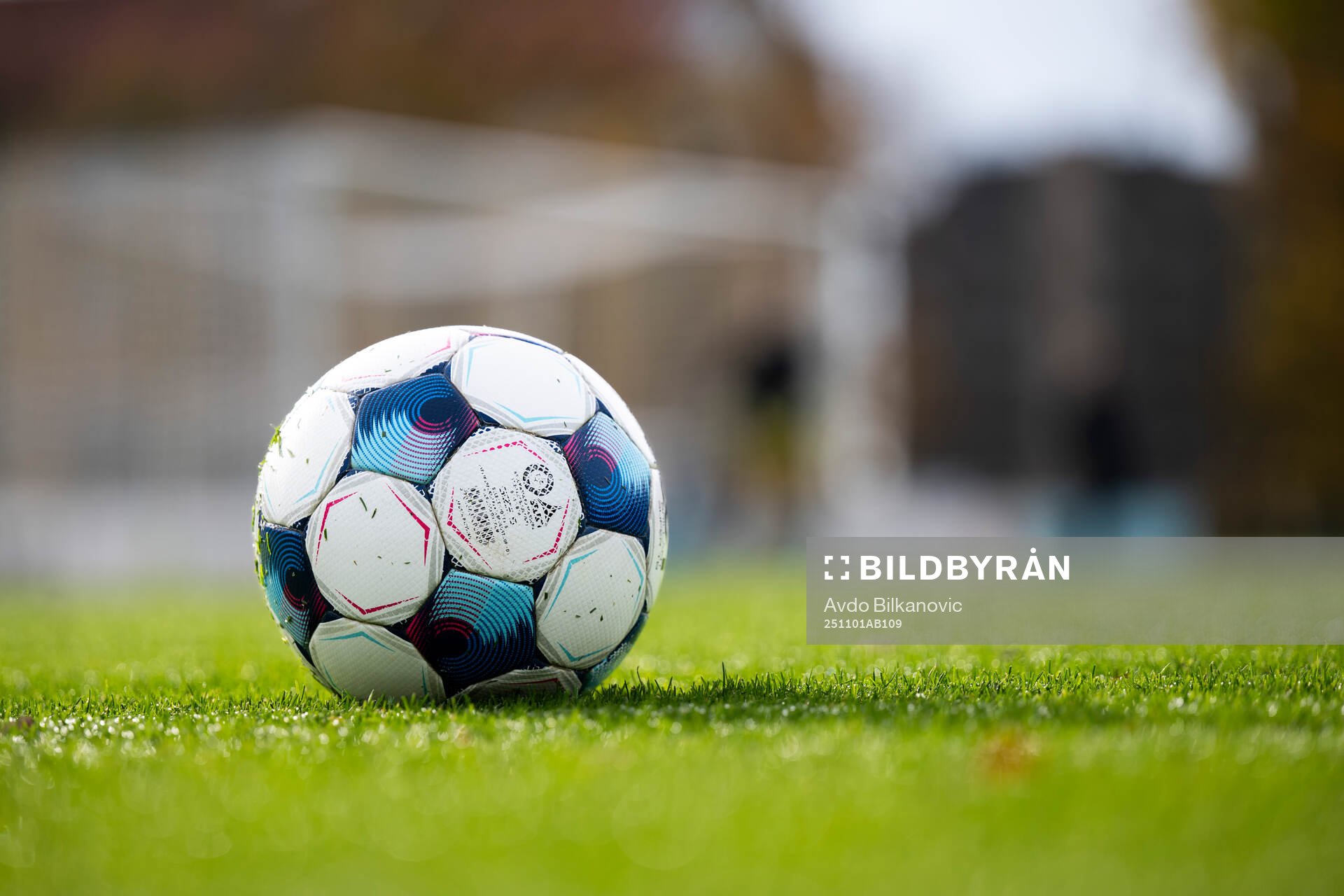 En fotbollsboll