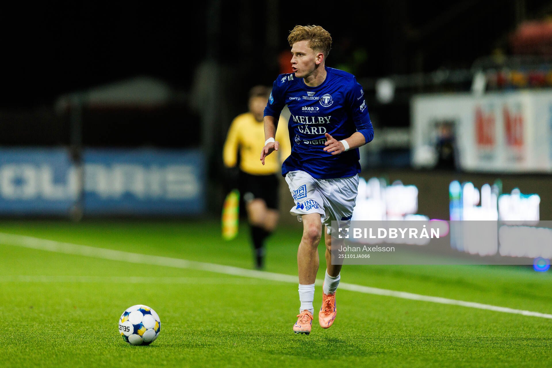 Trelleborgs Karl Wendt