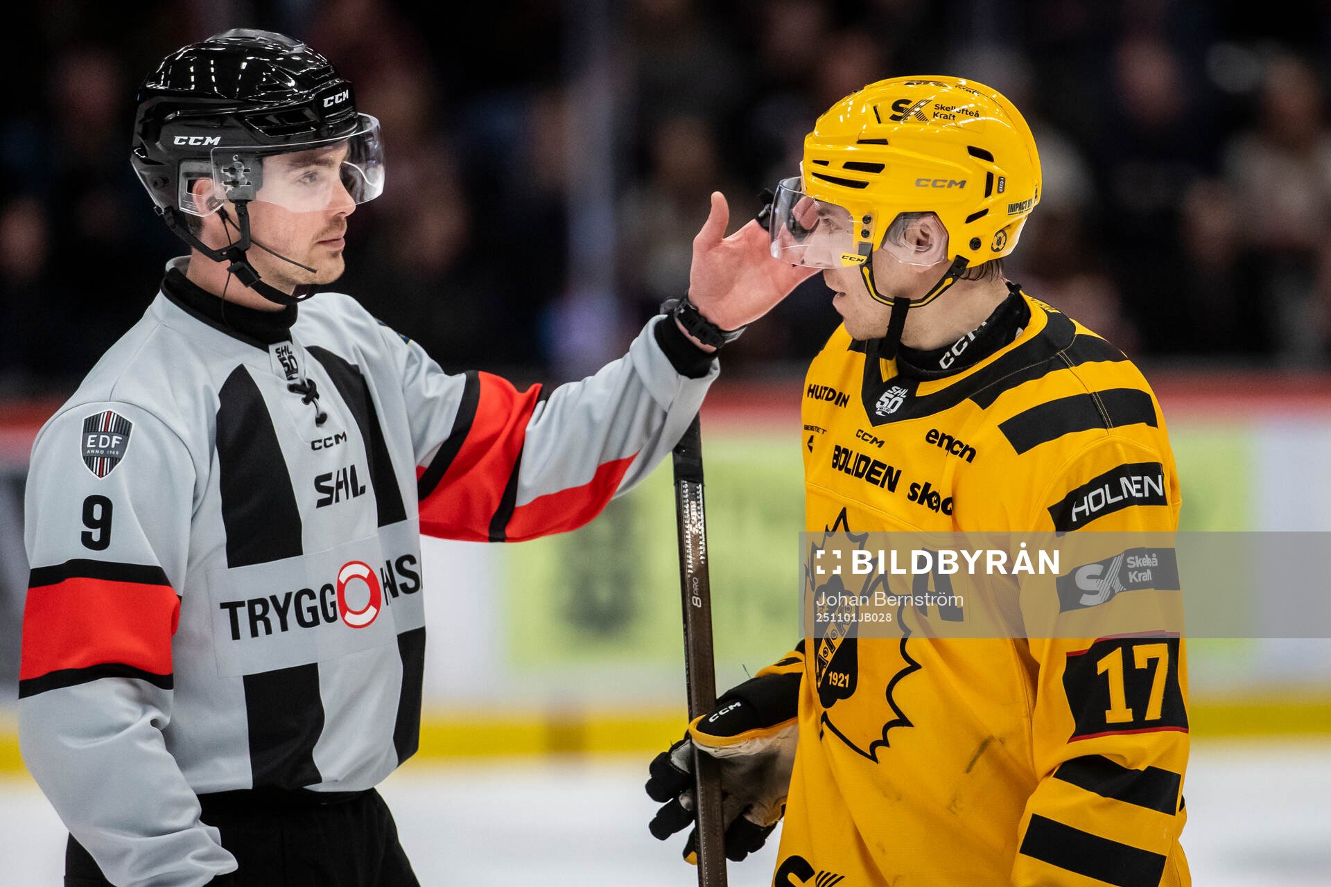 Domare Filip Eriksson och Skellefteås Pär Lindholm