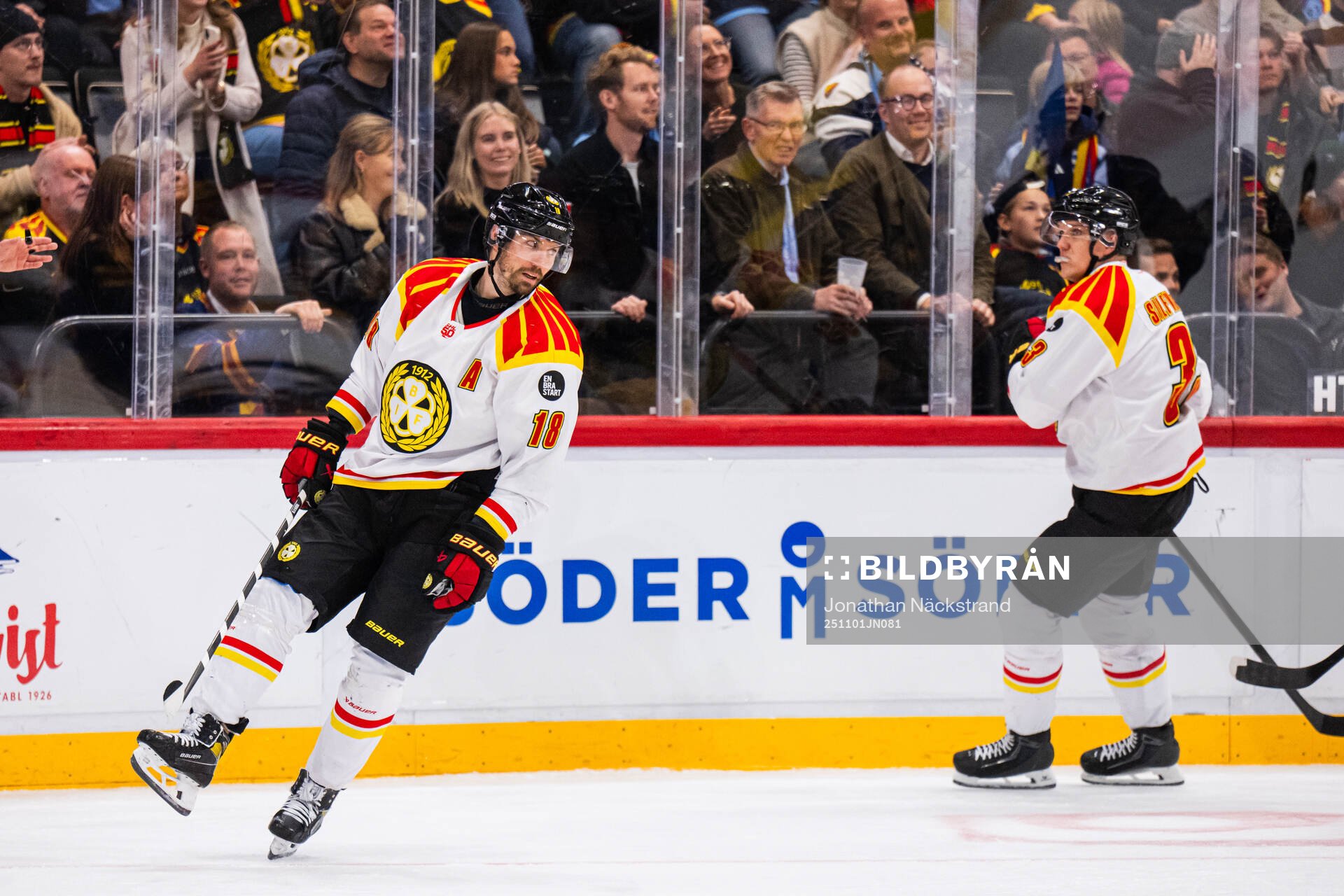 Brynäs Anton Rödin