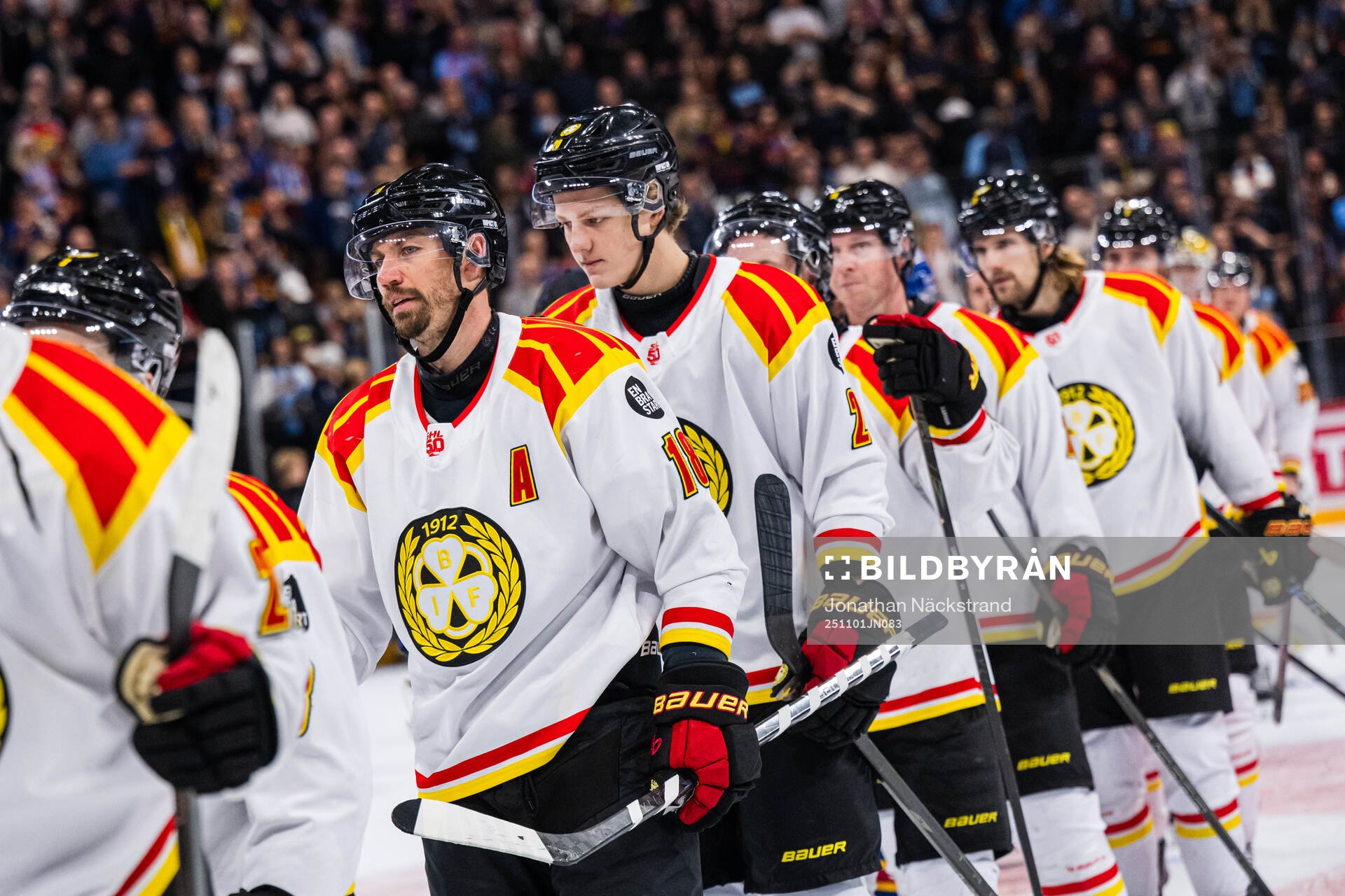 Brynäs Anton Rödin