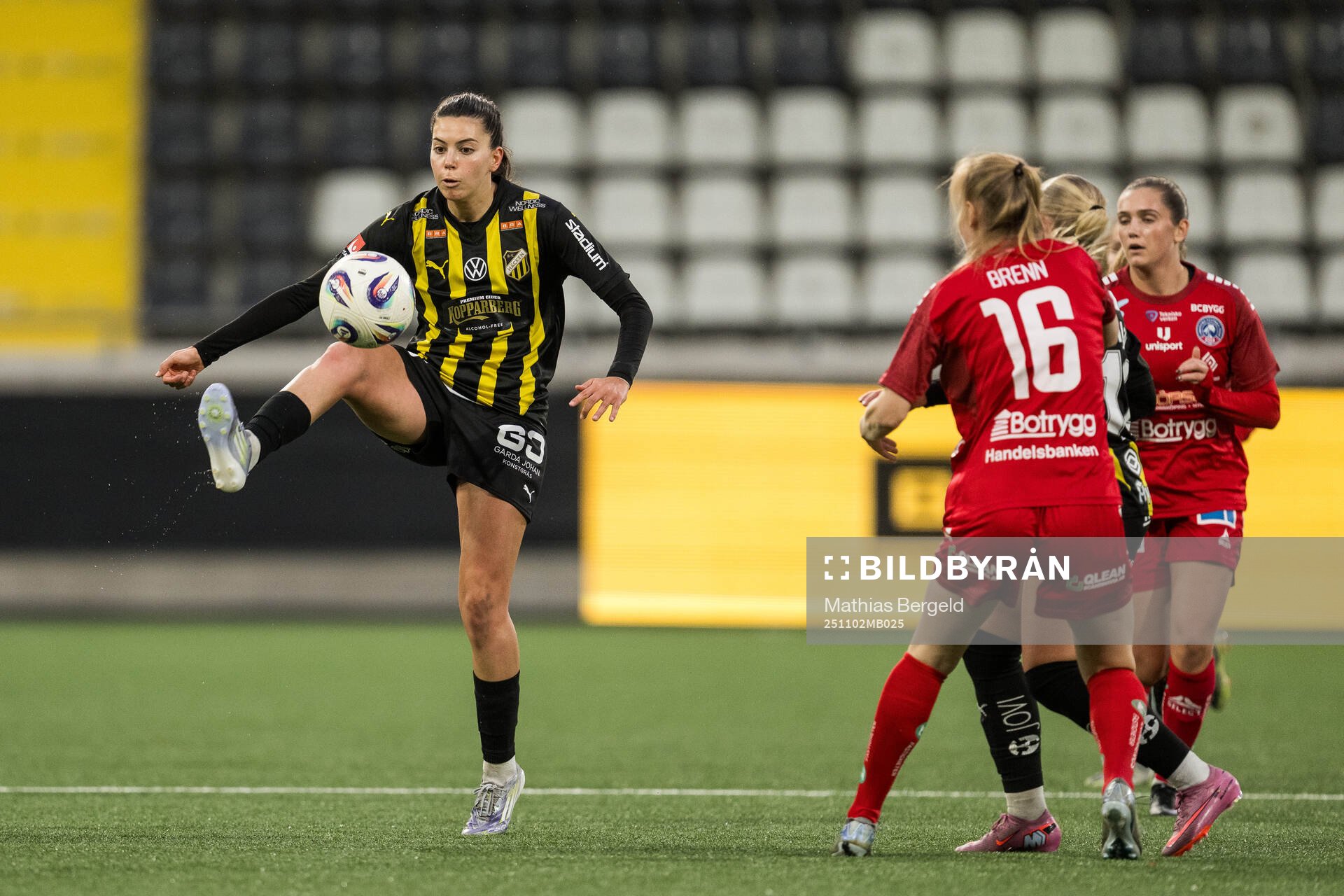 Häckens Helena Sampaio