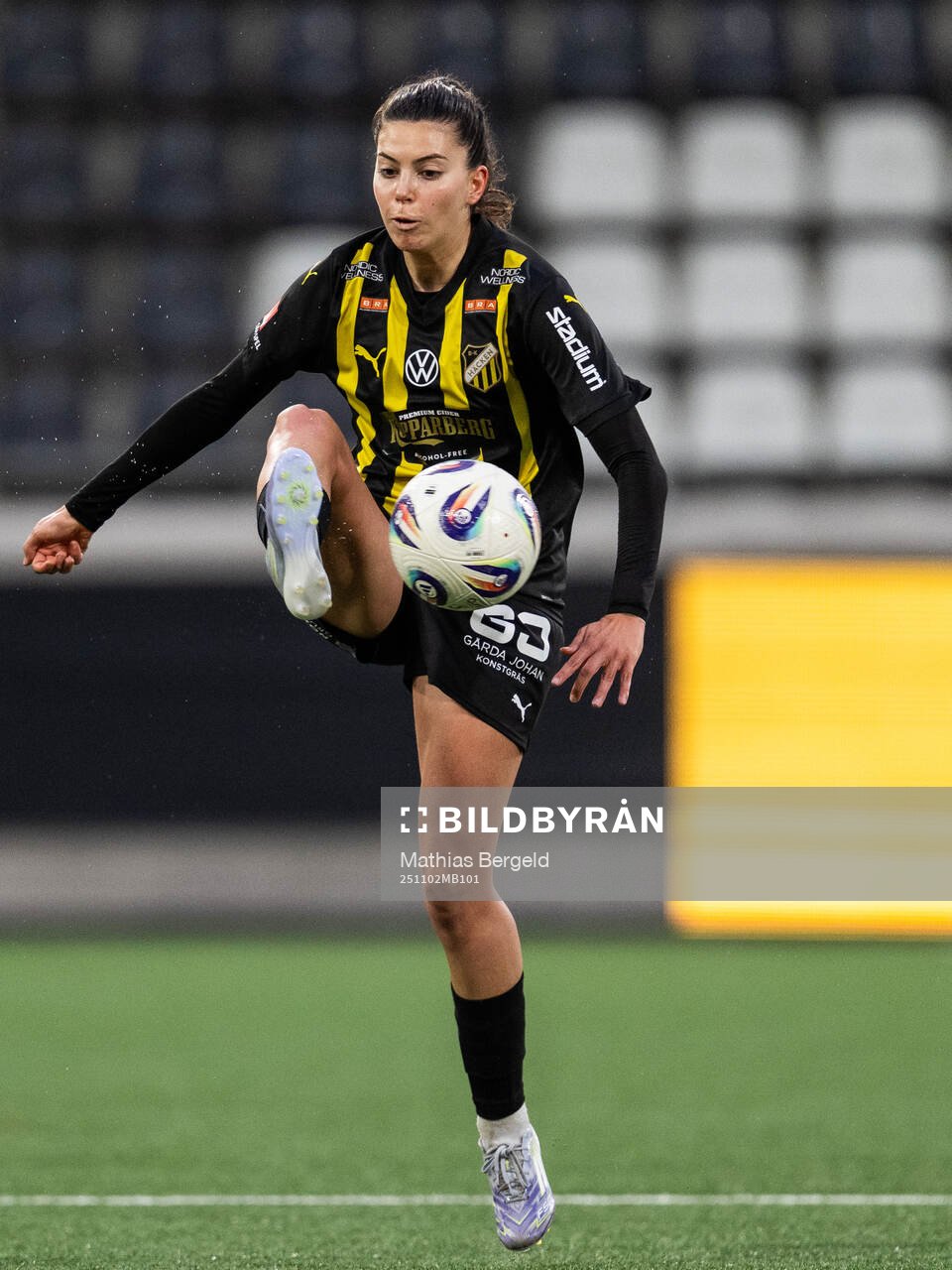 Häckens Helena Sampaio