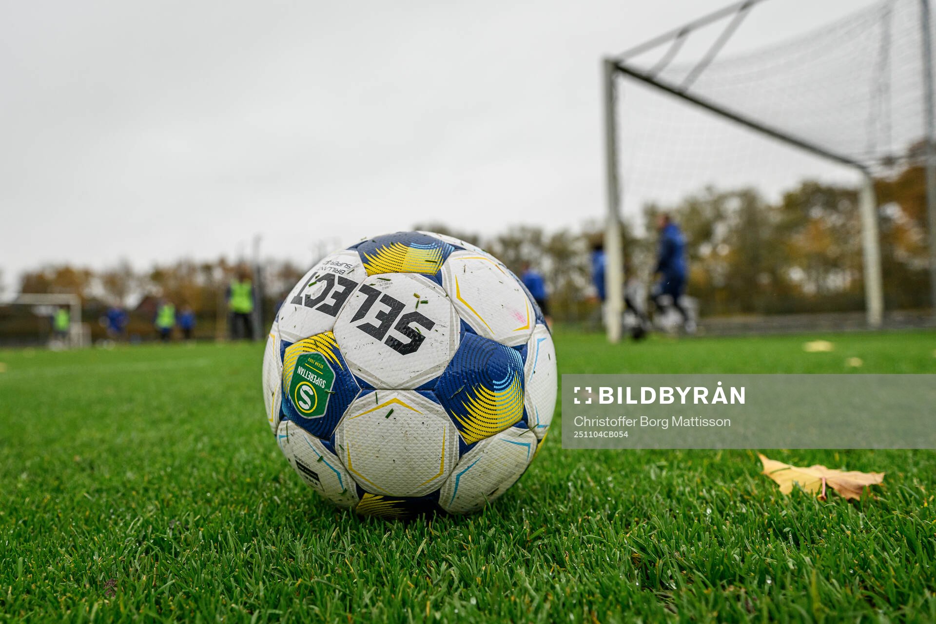 En fotboll på gräsmattan