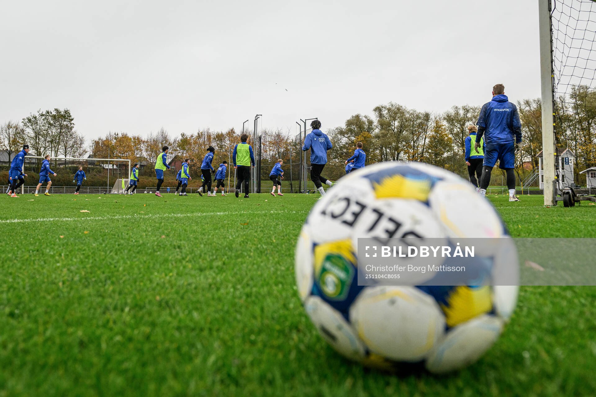 Trelleborgs spelare