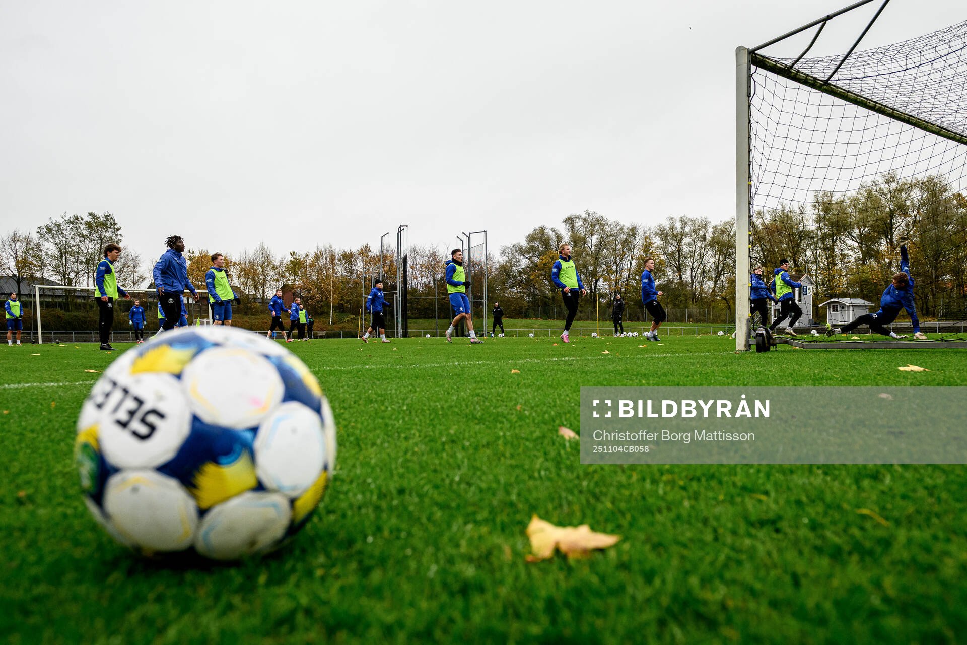 Trelleborgs spelare