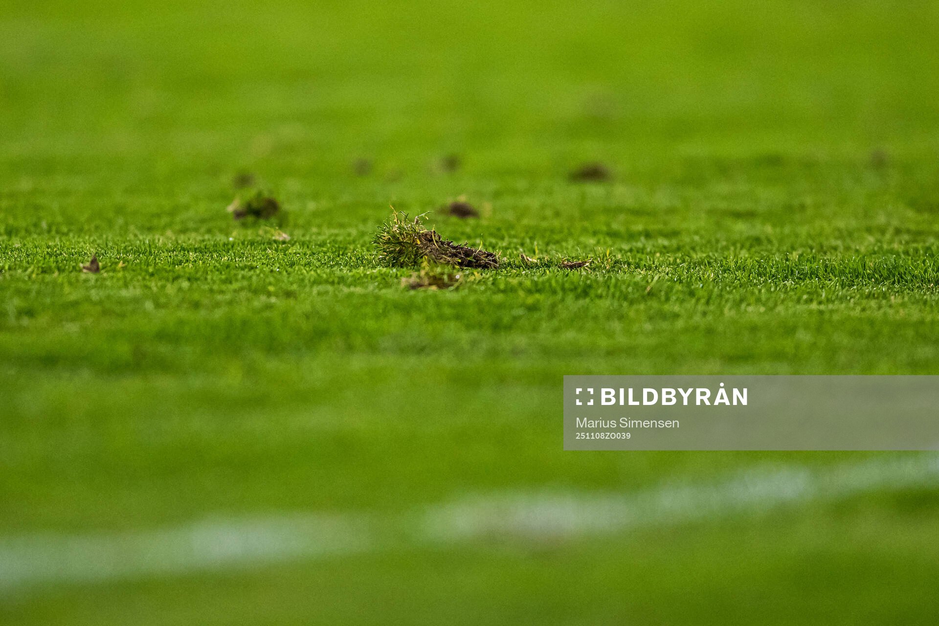Quality of the grass at Bislett Stadion
