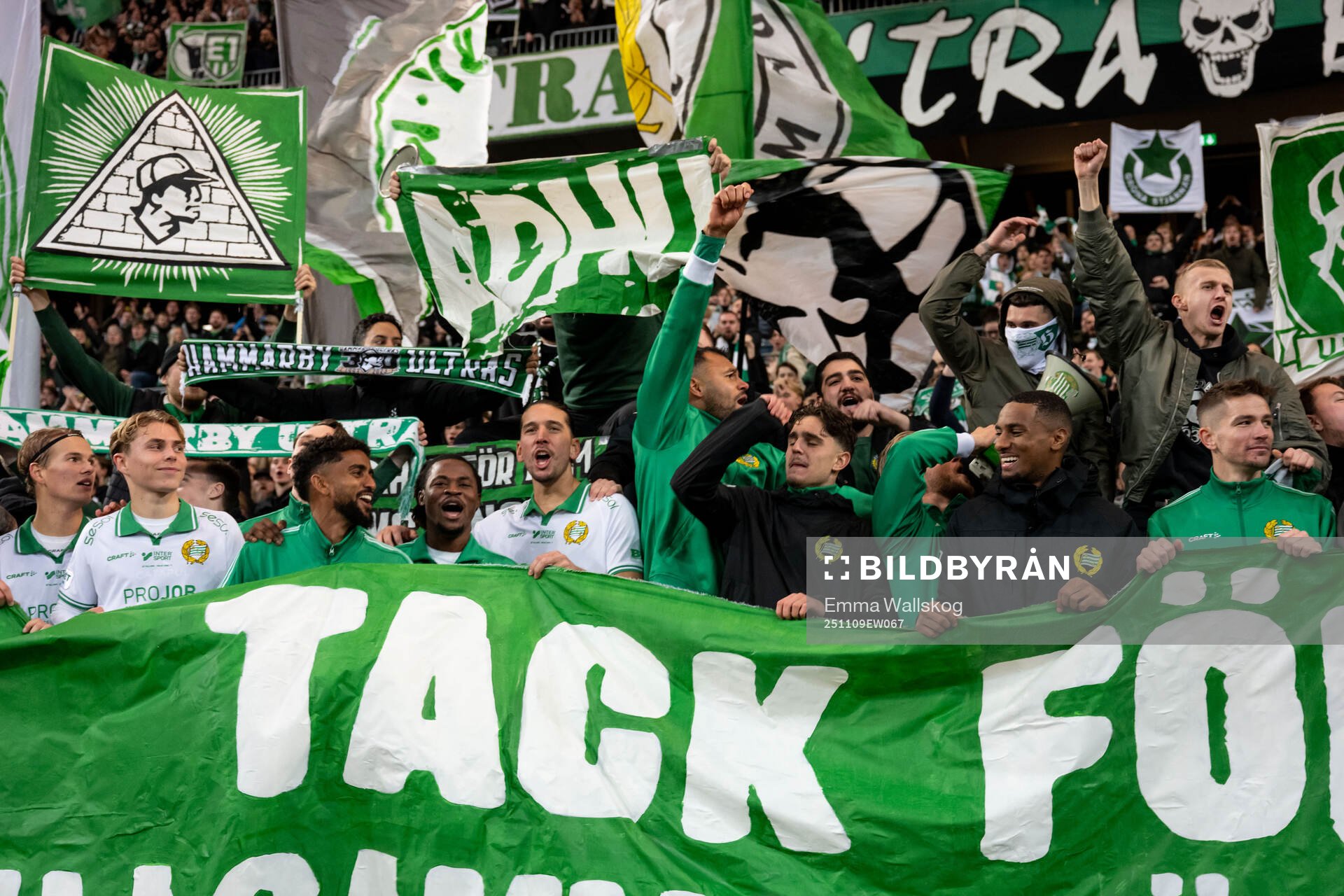 Hammarbys spelare jublar