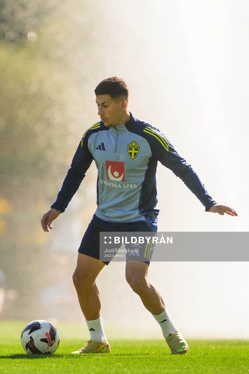 Roony Bardghji of the Swedish national football team