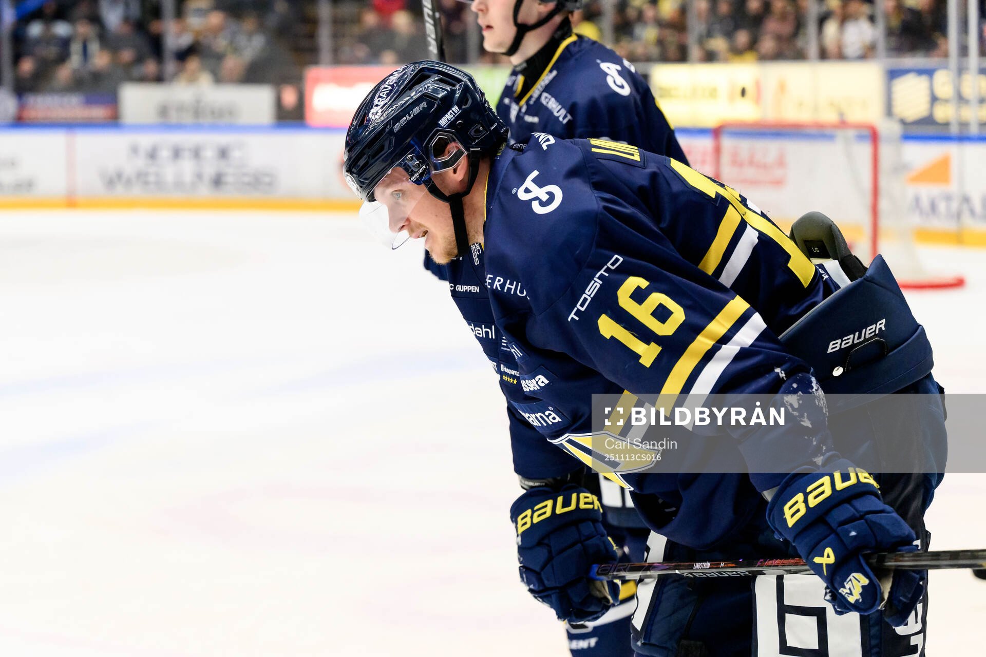 HV71s Linus Lindström