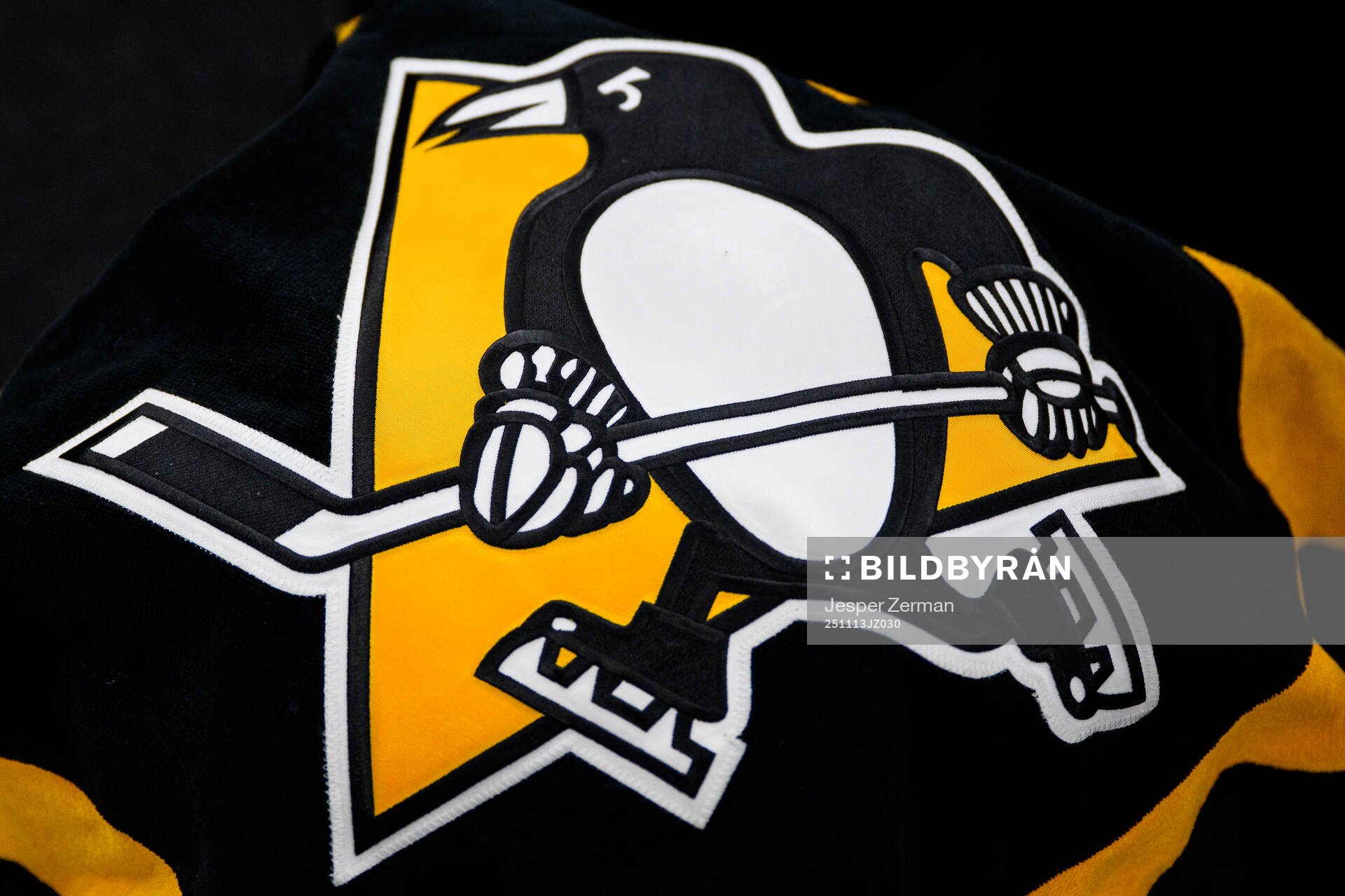 The Pittsburgh Penguins logotype