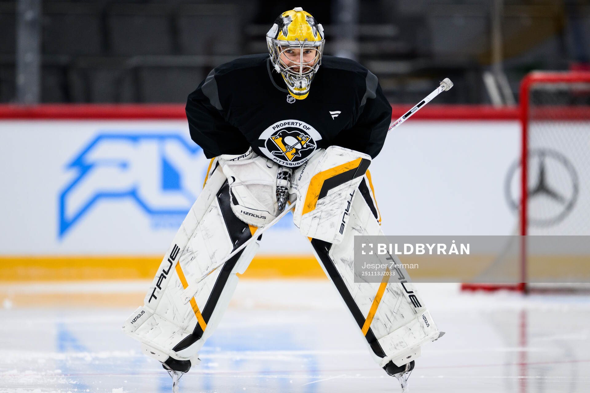 Goaltender Sergei Murashov