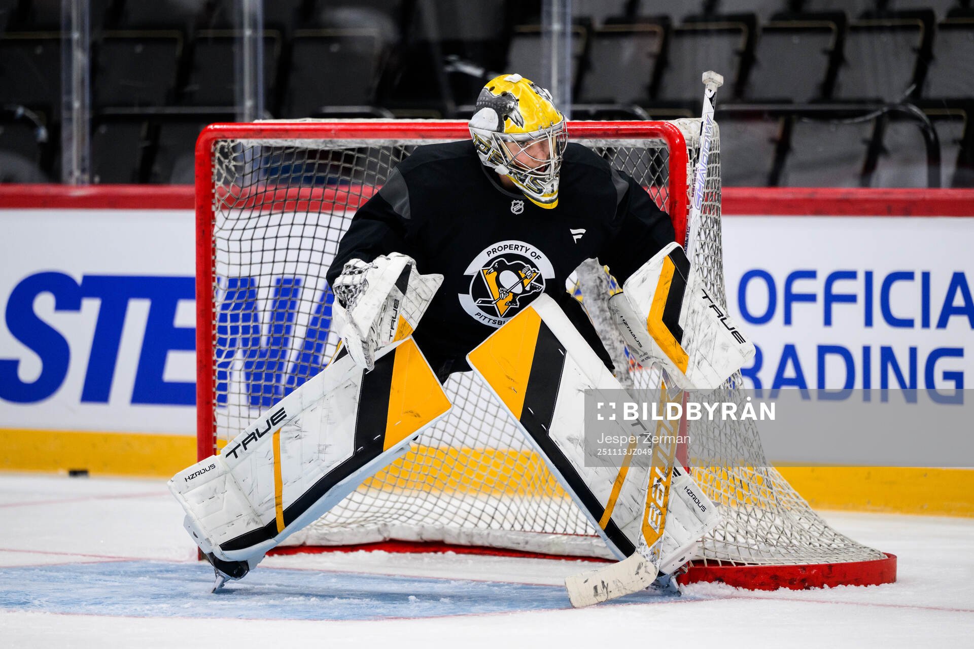 Goaltender Sergei Murashov