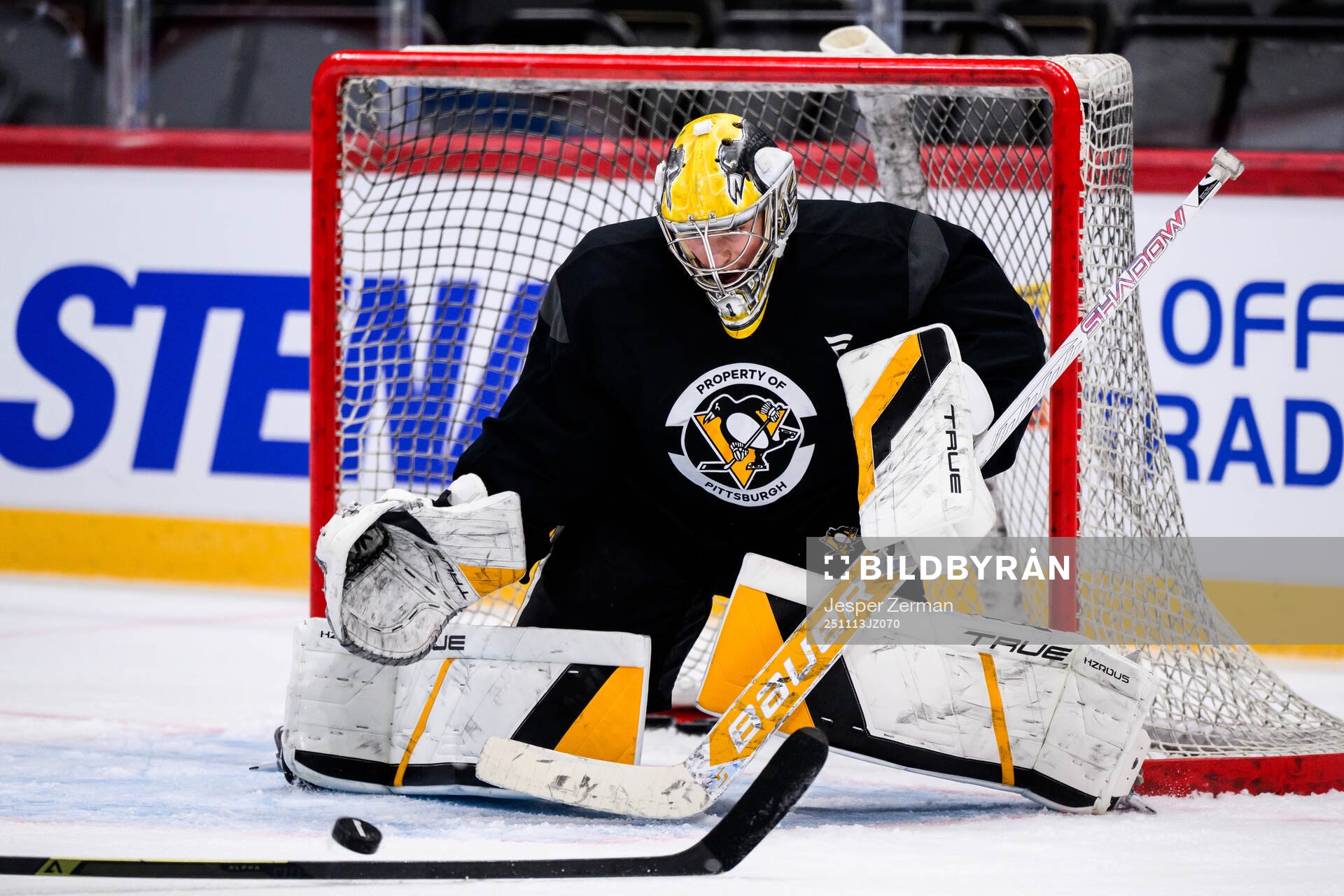 Goaltender Sergei Murashov