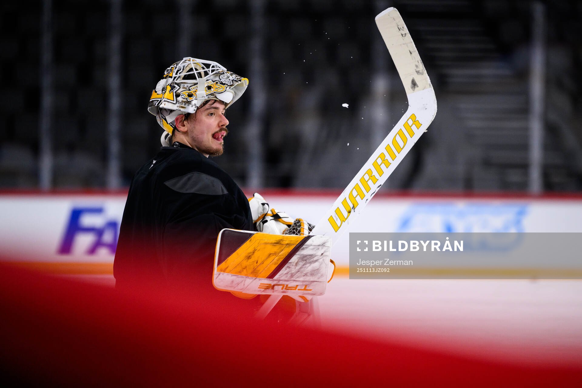 Goaltender Arturs Silovs