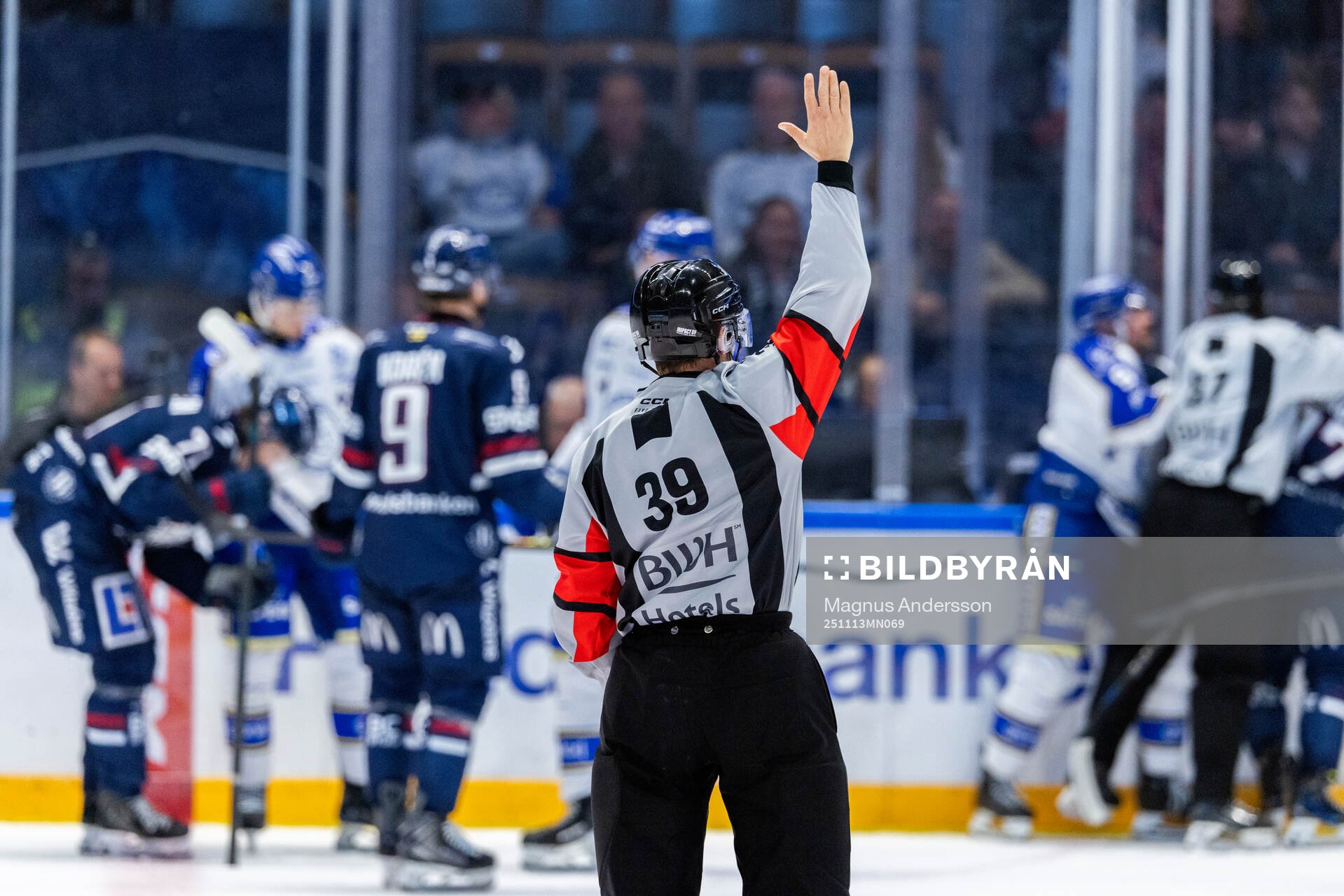 Domare Mattias Enroth