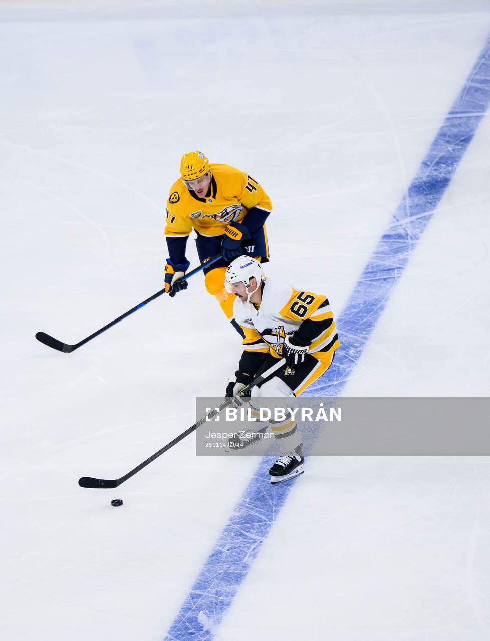 Michael McCarron of Nashville Predators and Erik Karlsson