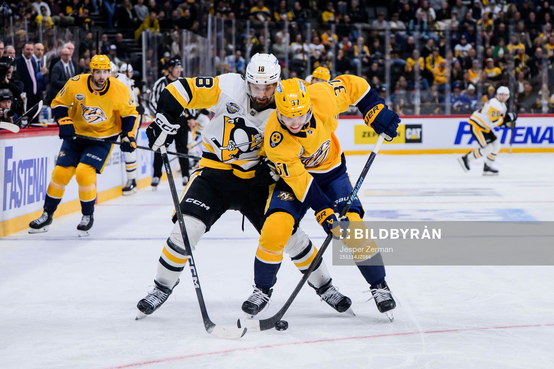 Tommy Novak of Pittsburgh Penguins and Nick Blankenburg of