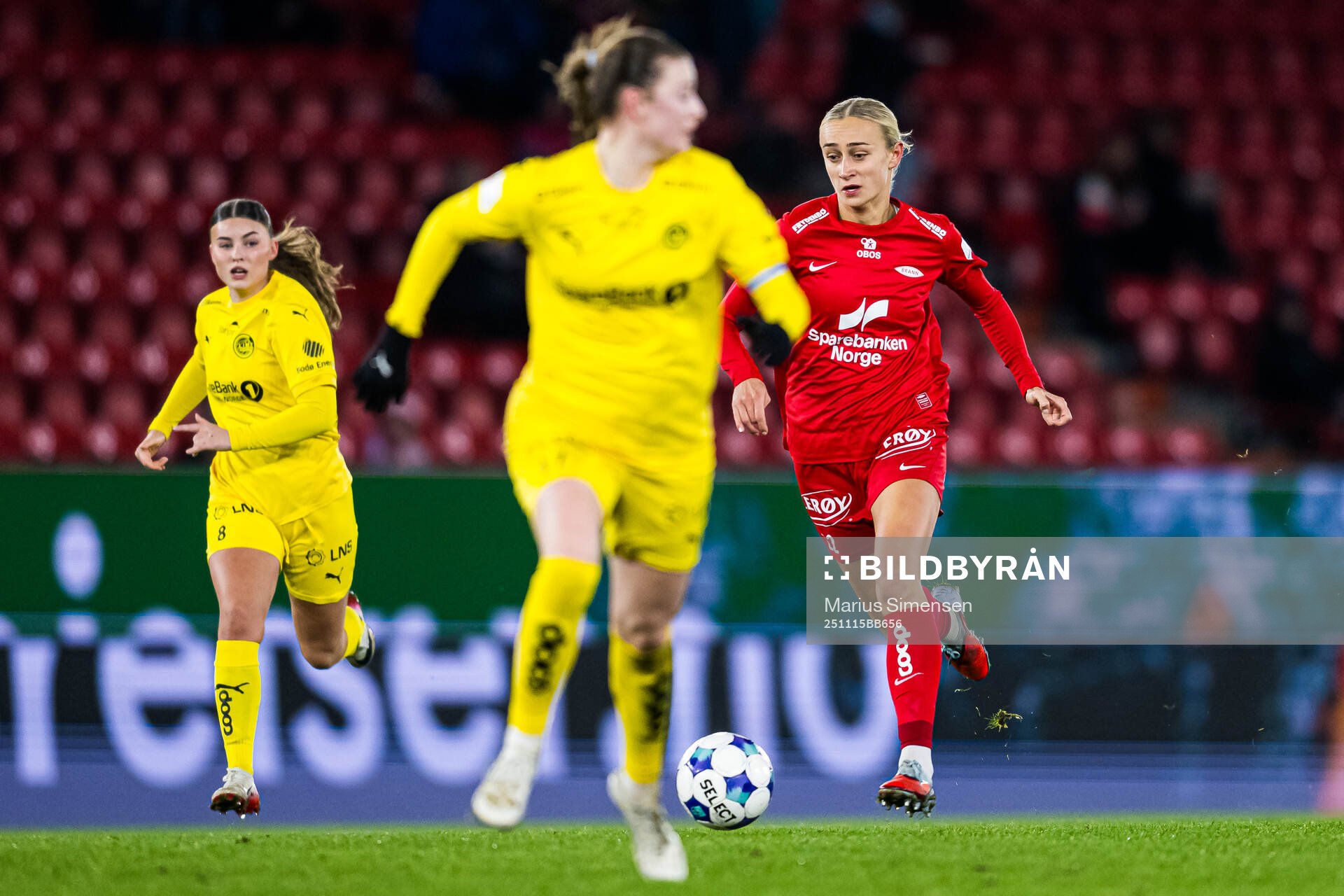 Lauren Alison Davidson of Brann