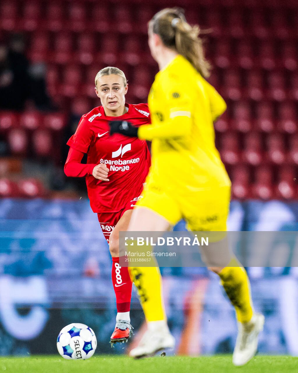 Lauren Alison Davidson of Brann