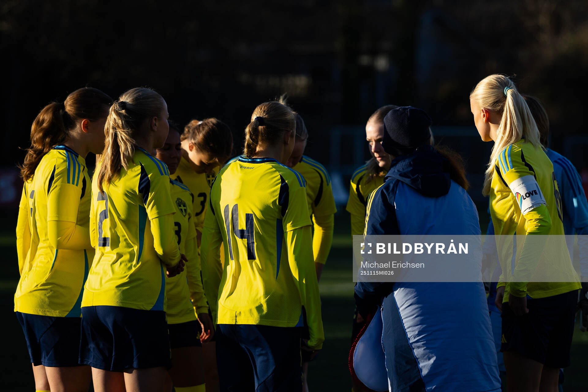 Sveriges spelare samlade