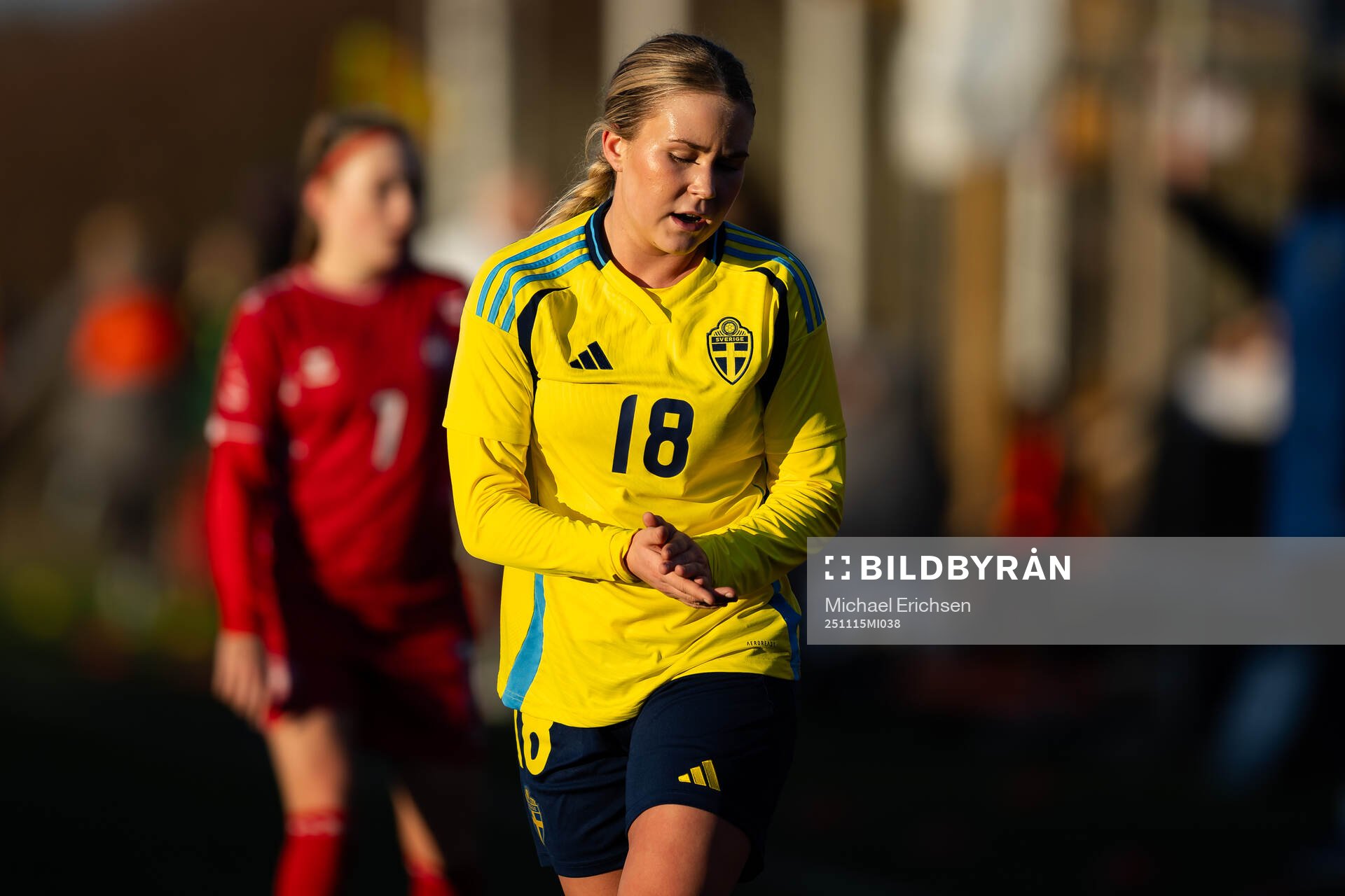 Sveriges Ronia Åbrink