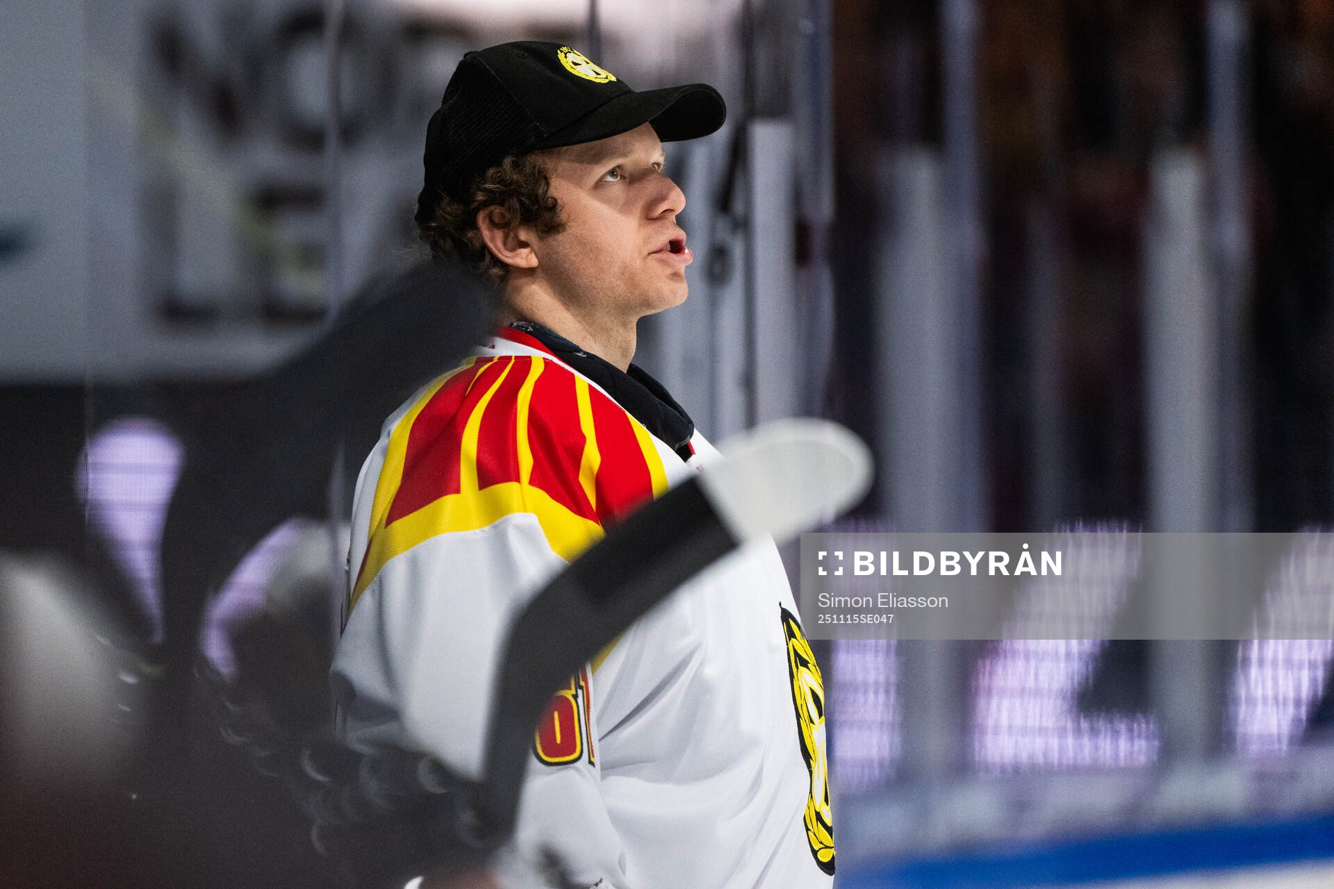 Brynäs målvakt Collin Delia