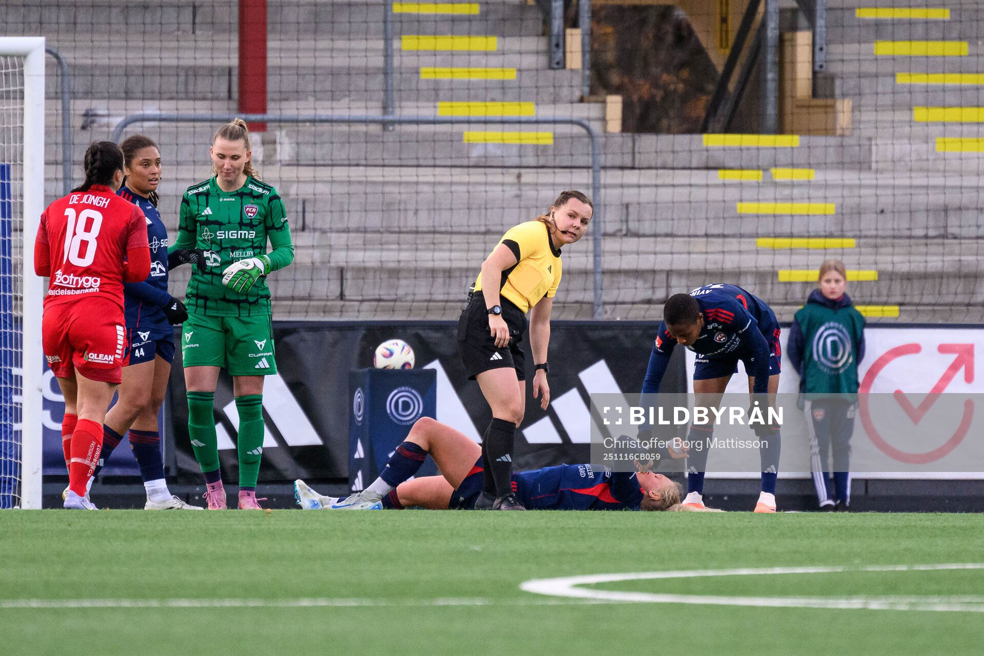 Rosengårds Molly Johansson får vård