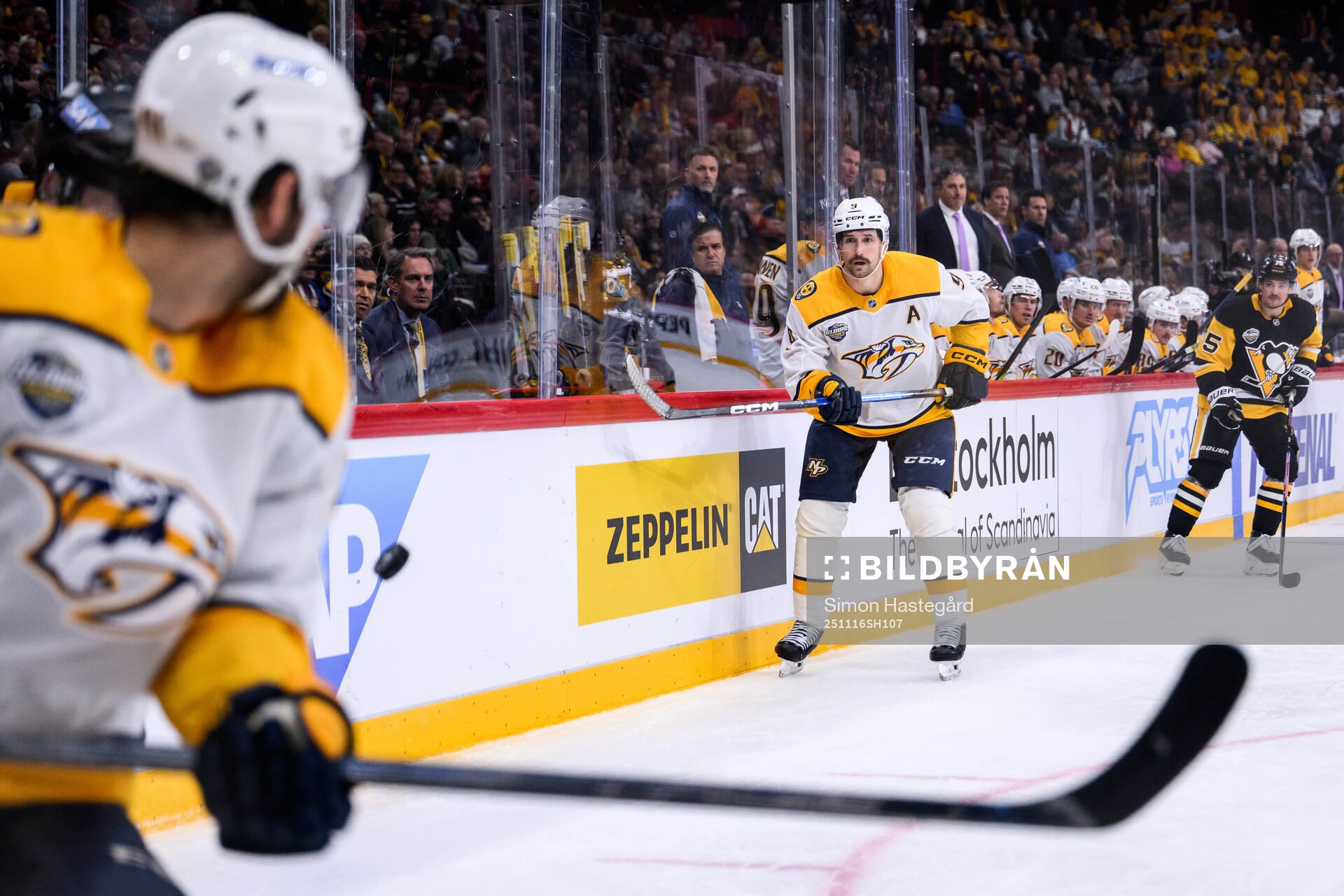 Filip Forsberg of Nashville Predators