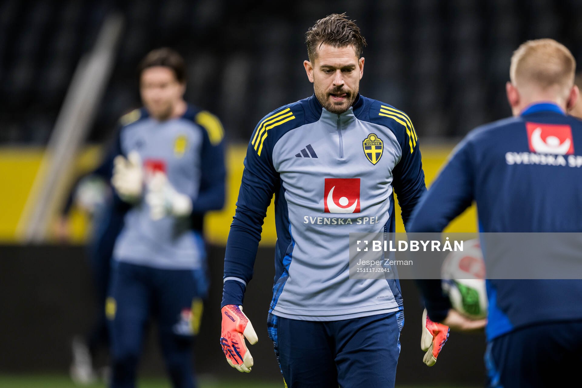 goalkeeper Kristoffer Nordfeldt of the Swedish men's