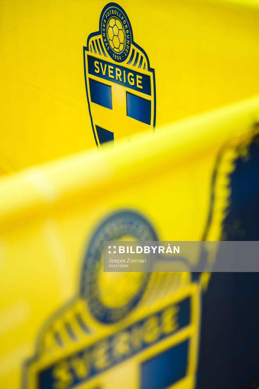 The logotype of the Swedish FA