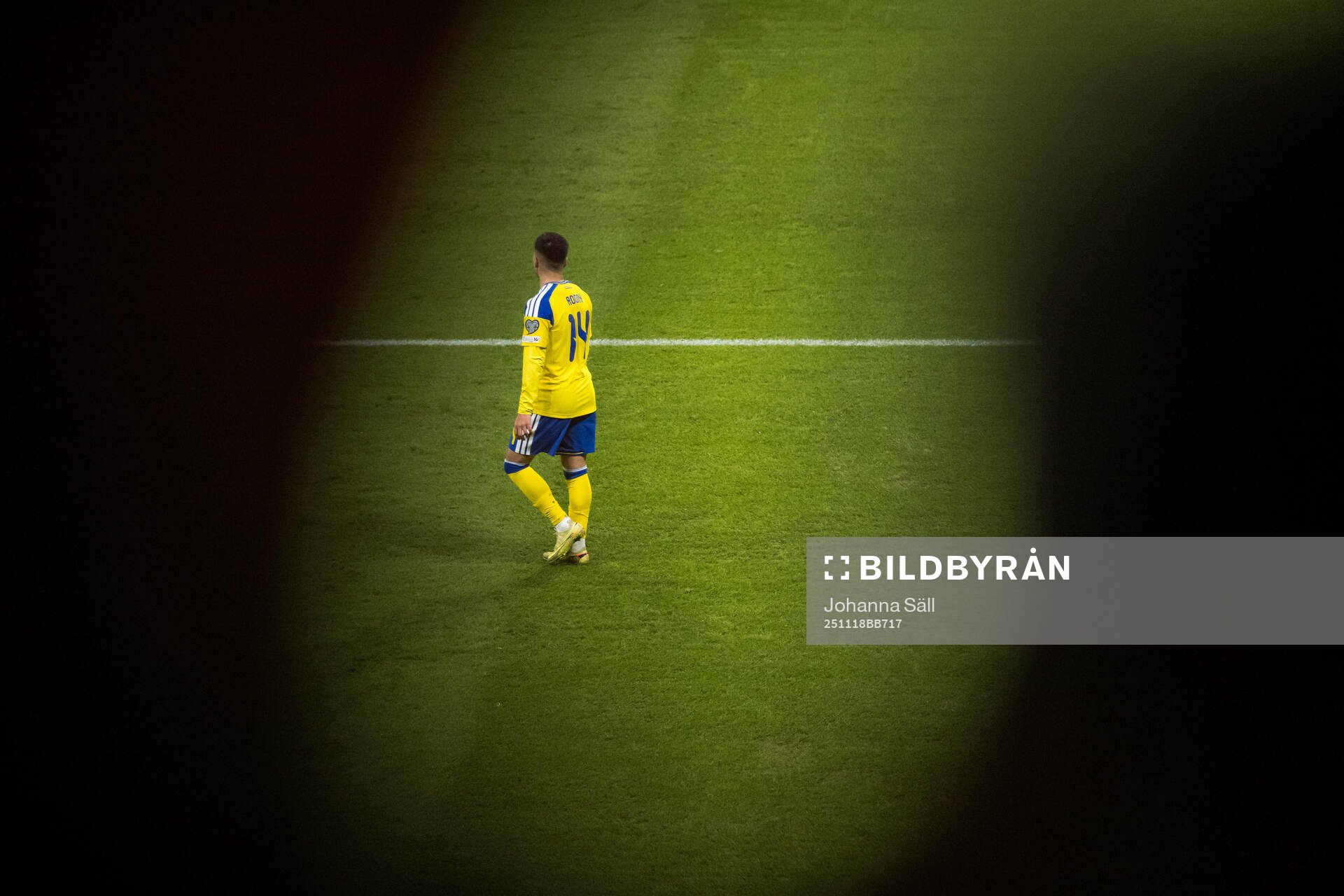 Roony Bardghji of Sweden