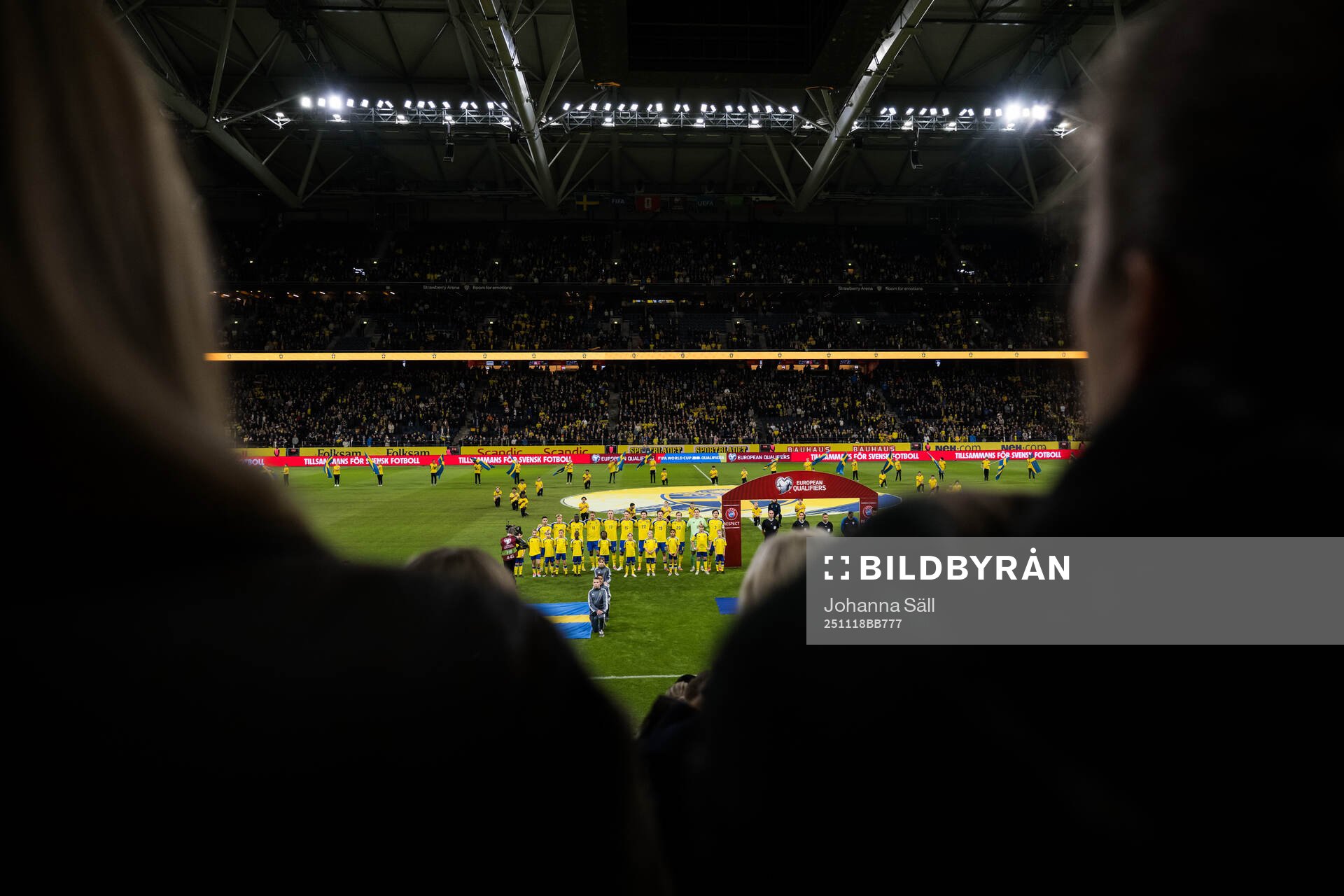 Players of Sweden