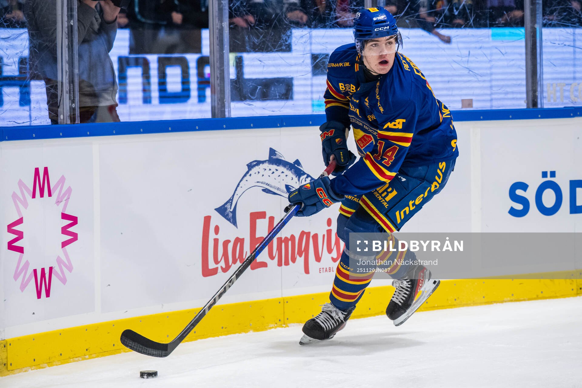 Djurgårdens Anton Frondell