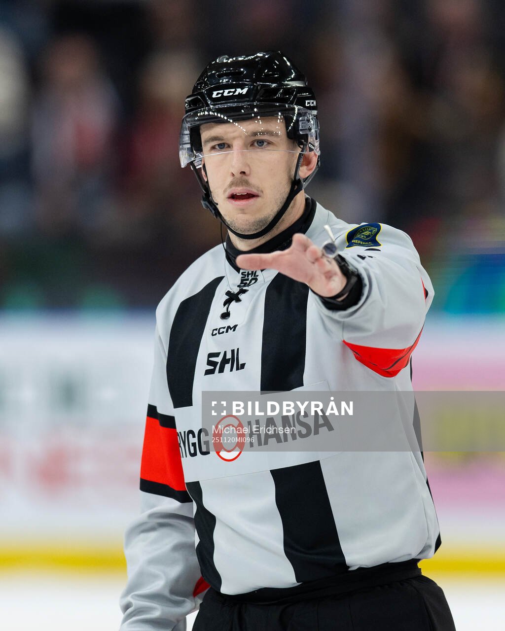 Domare Oscar Niklasson