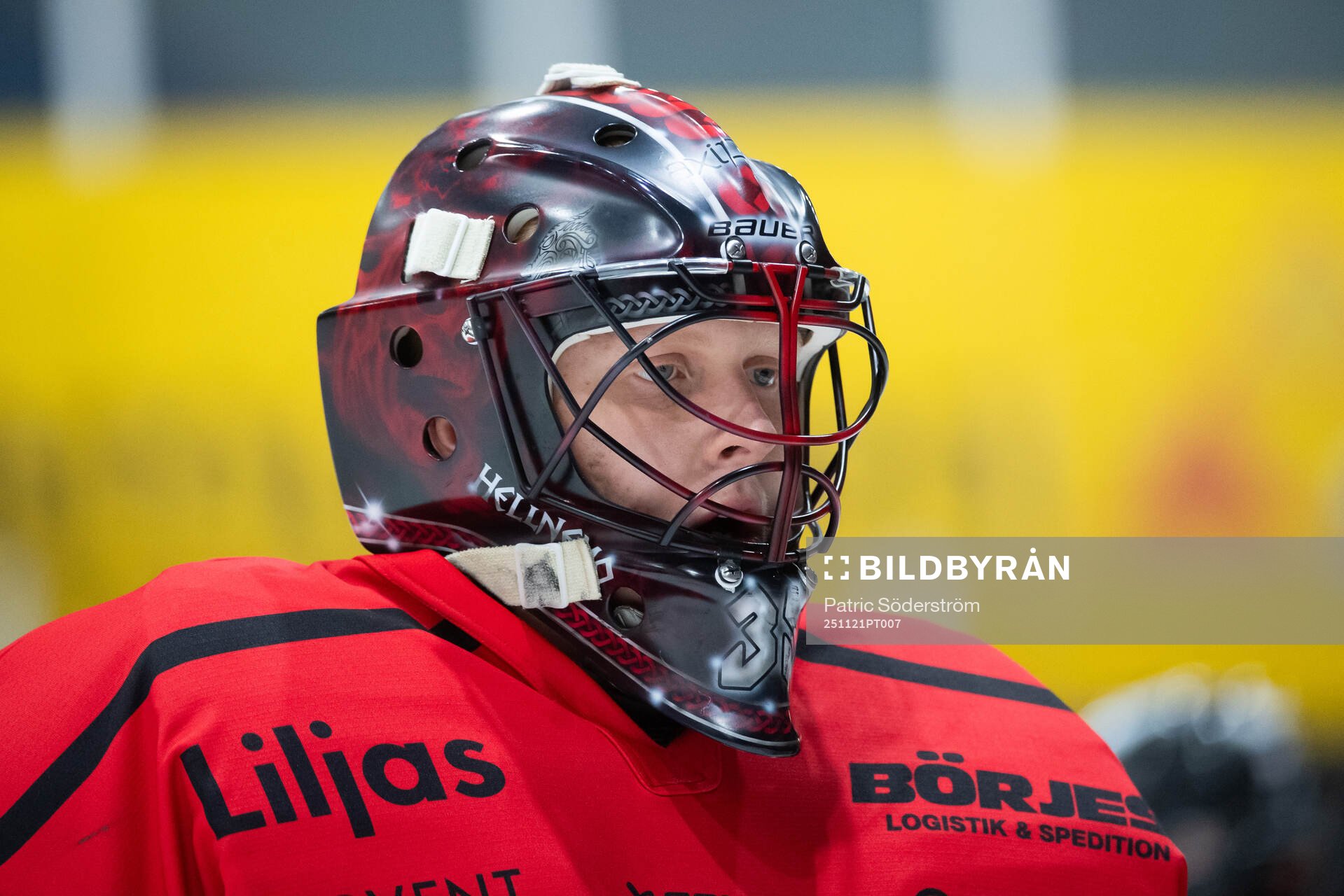 Nybro Vikings Alexander Hellnemo
