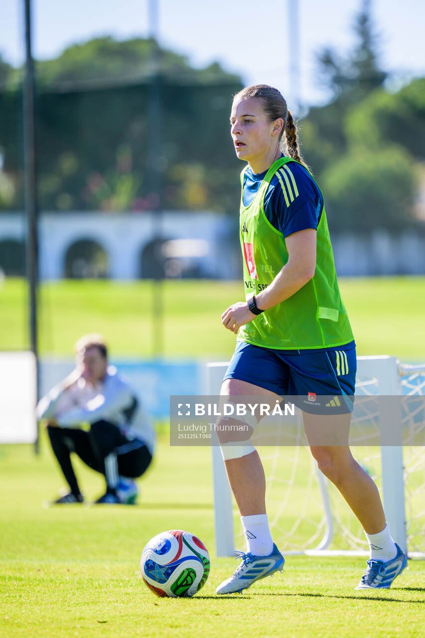 Anna Anvegård of the women's national football team of