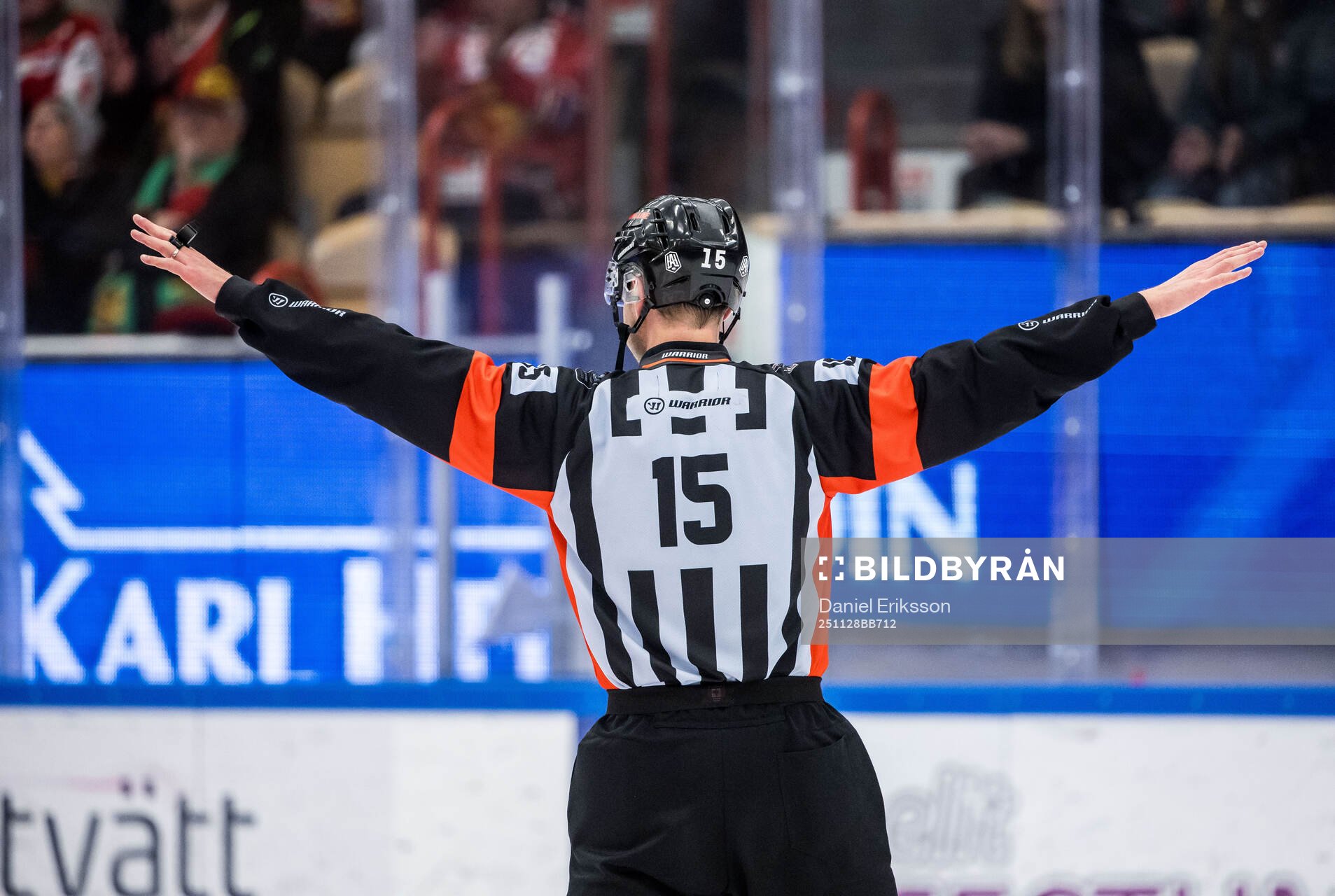 Domare Robin Forslund