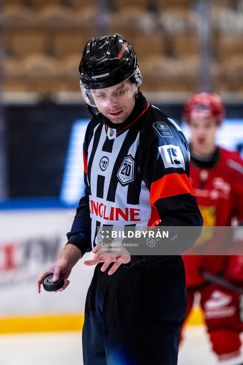 Domare Stefan Leijonklo
