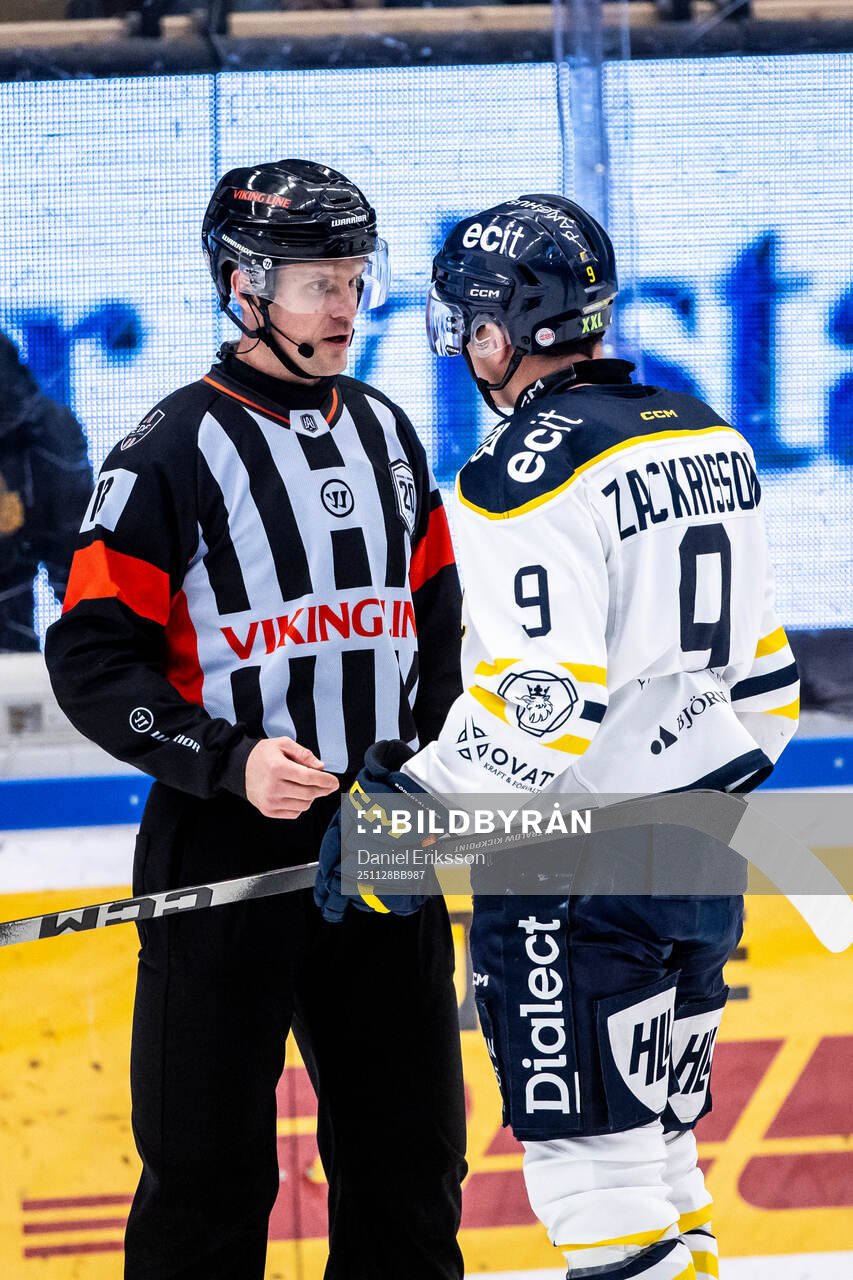 Domare Robin Forslund