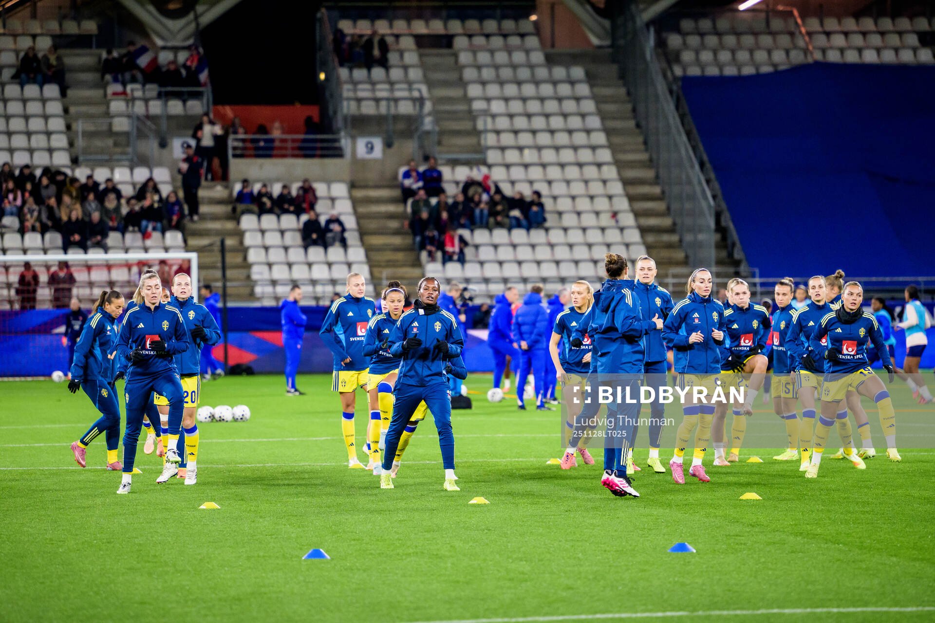 Players of Sweden