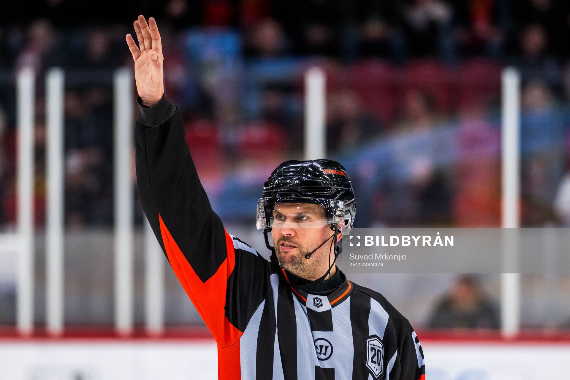 Domare Johan Magnusson