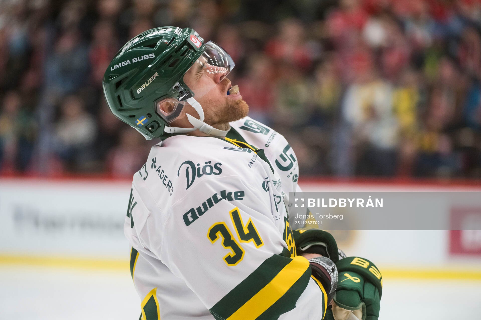 Björklövens Daniel Brodin