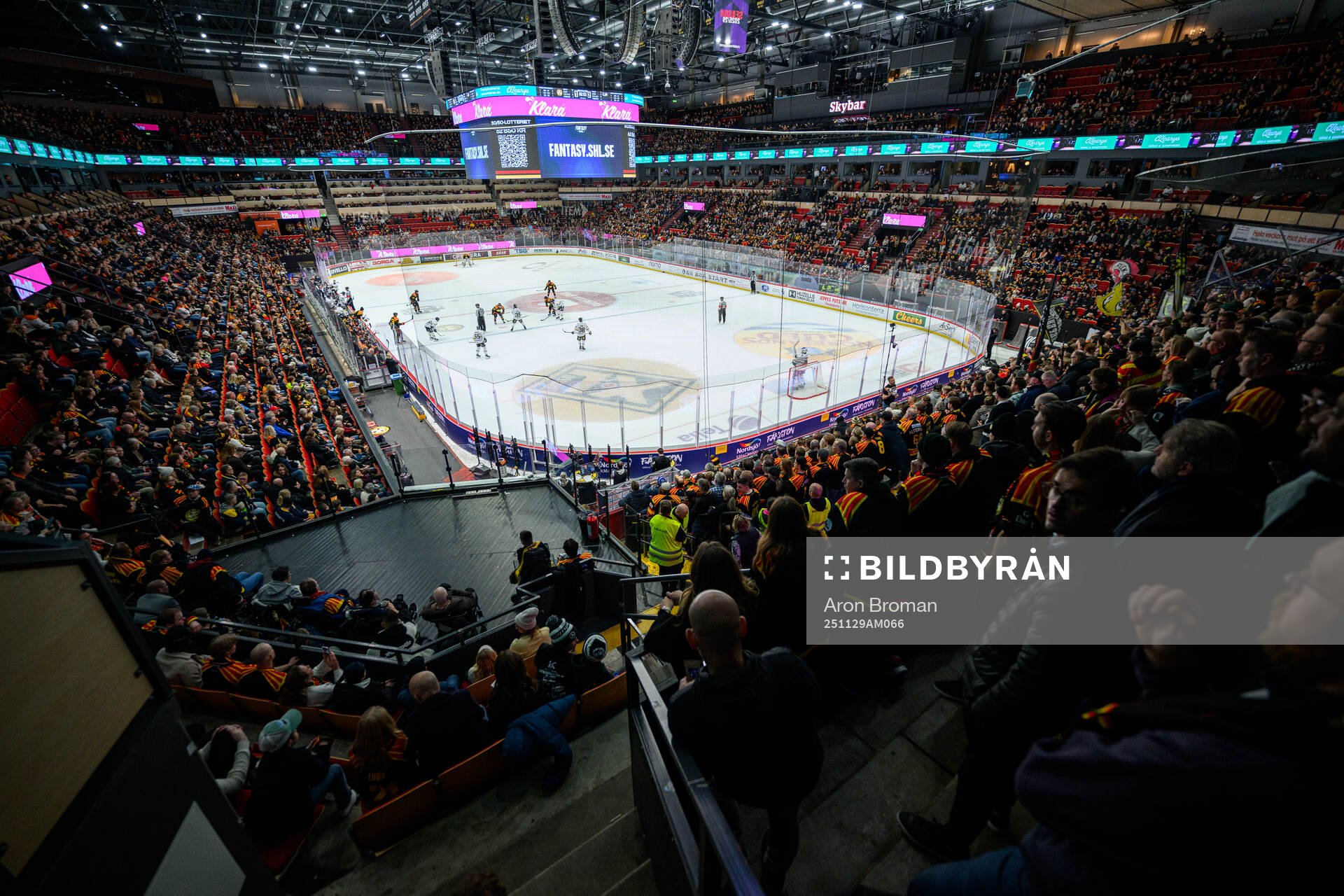 Monitor ERP Arena