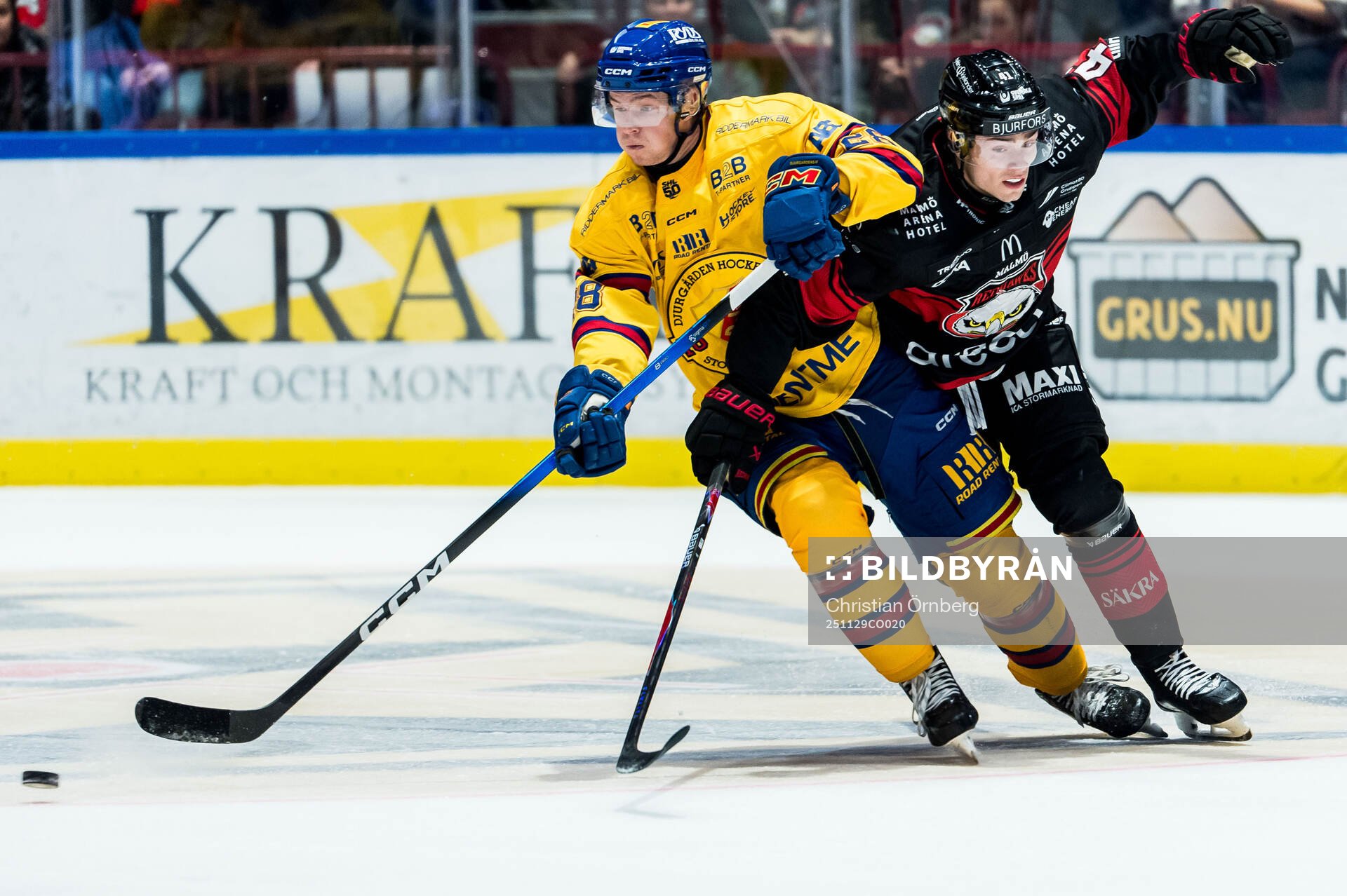 Djurgårdens Gustav Lindström och Malmö Redhawks Isac Born
