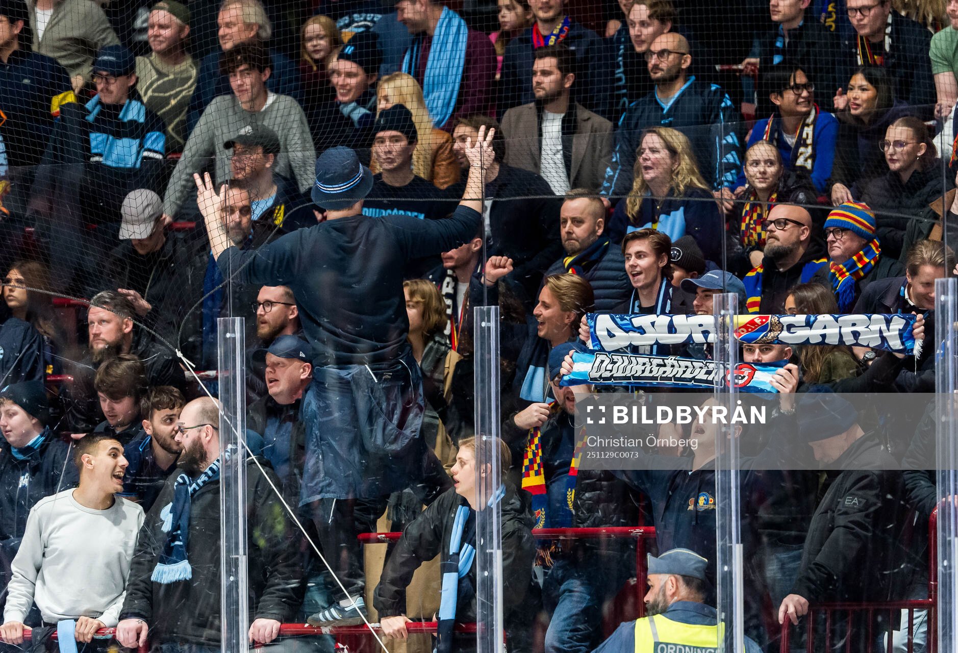 Djurgårdens supportrar