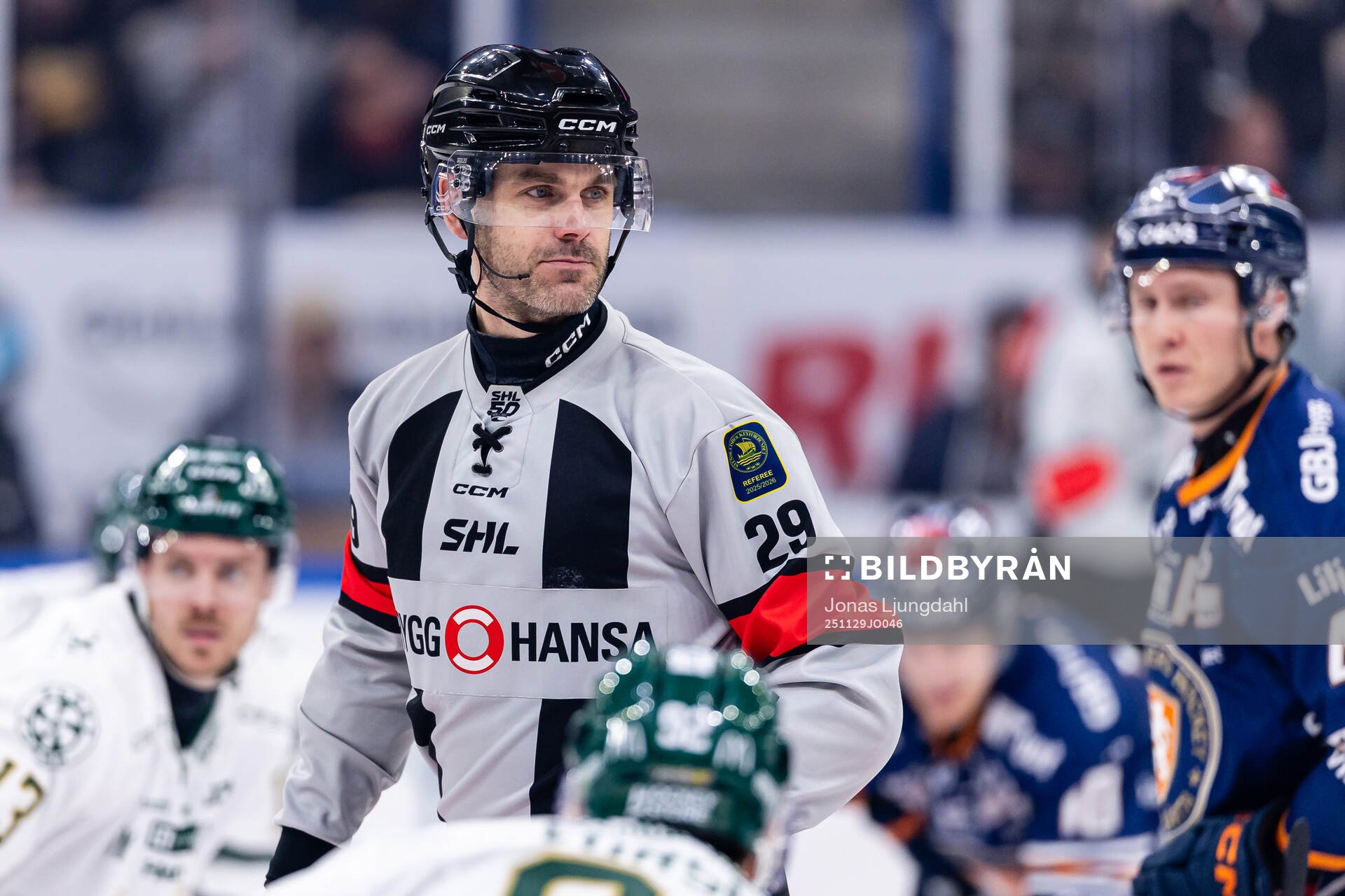 domare Richard Magnusson