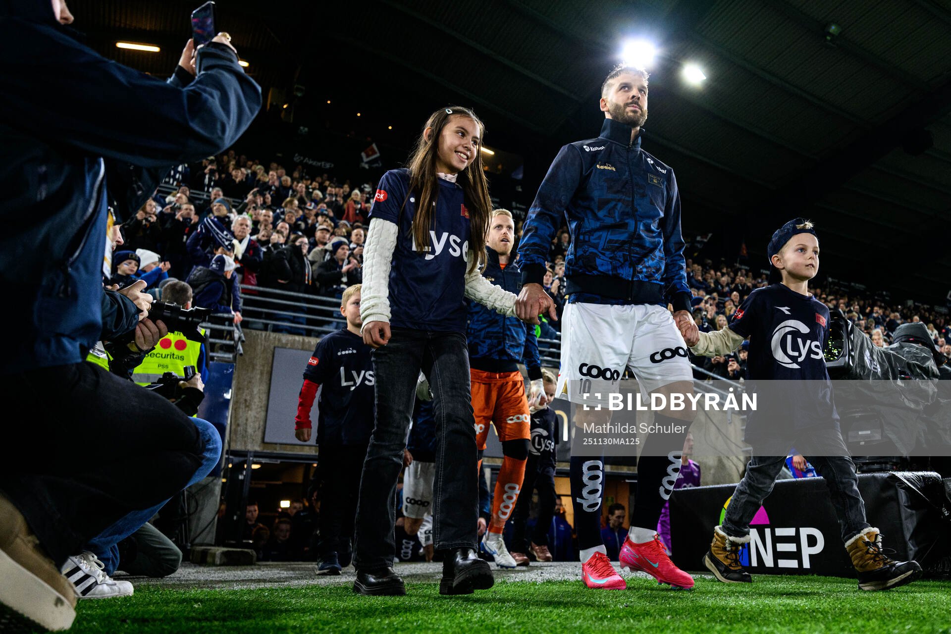 Zlatko Hovland Tripic of Viking